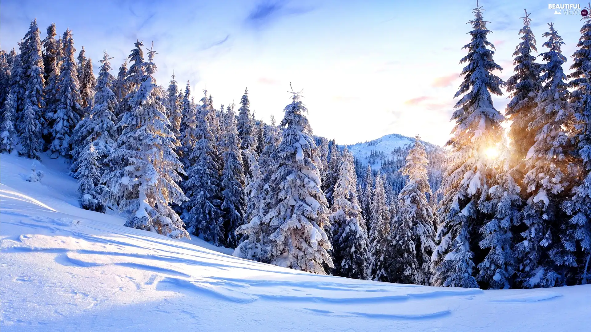 Mountains, winter, viewes, forest, trees