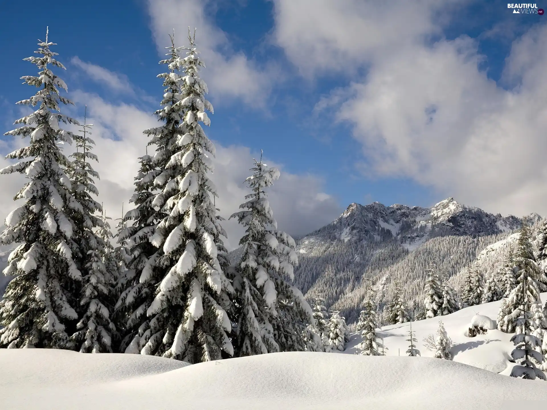winter, viewes, Mountains, trees