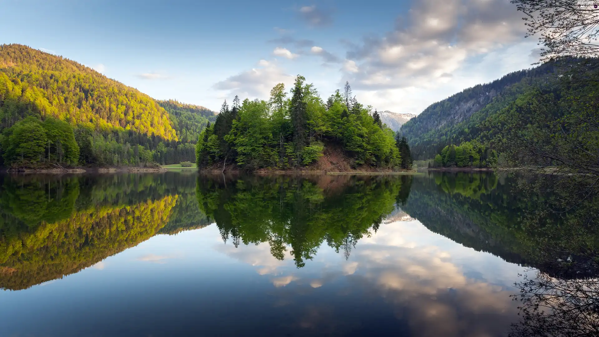 trees, Island, woods, Mountains, lake, viewes, reflection