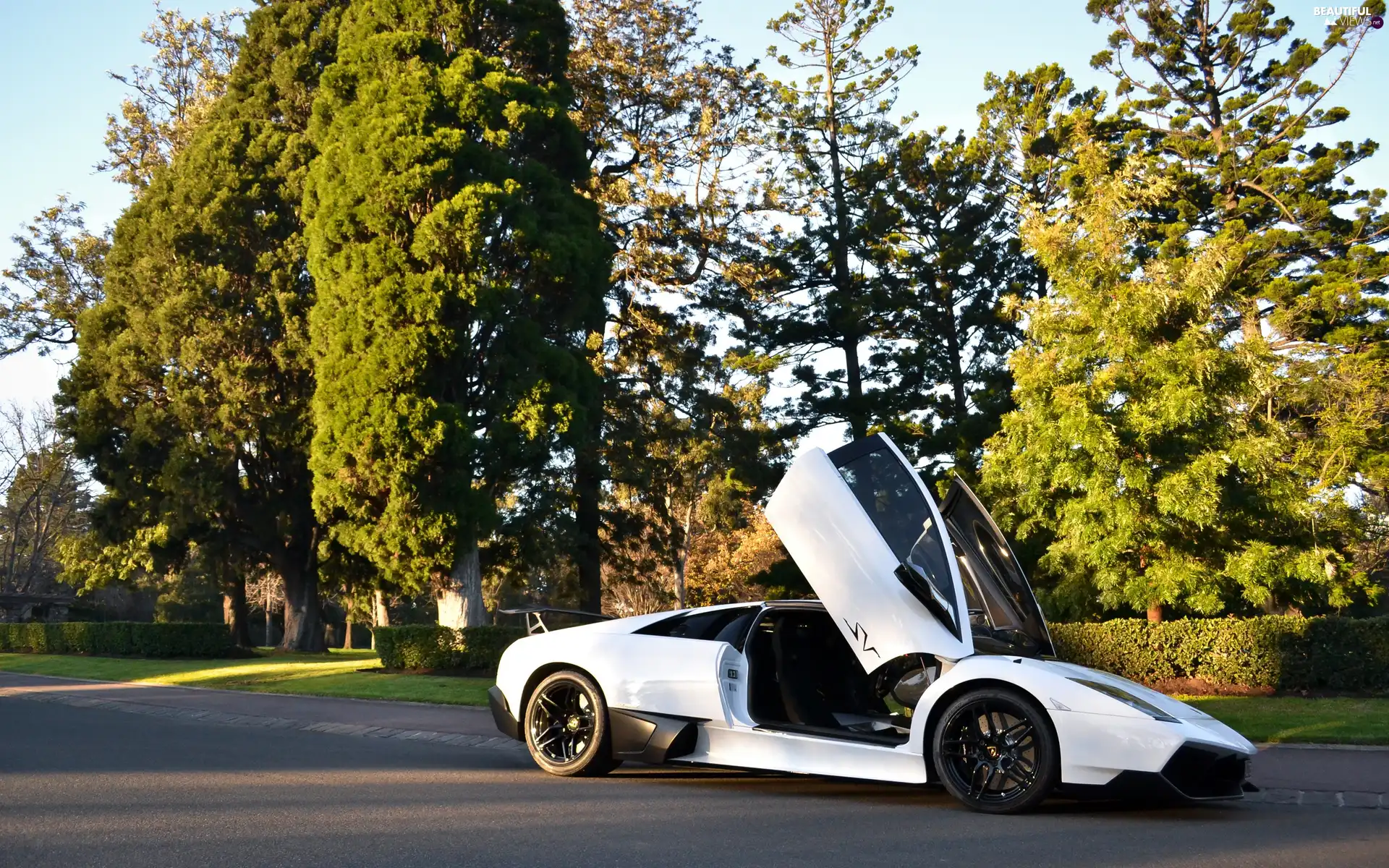 Murcielago, White, Street, Park, LP670-4SV, Lamborghini