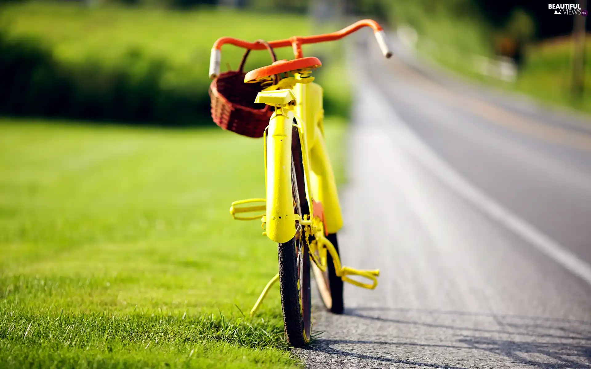 Bike, basket, Mushrooming, Way