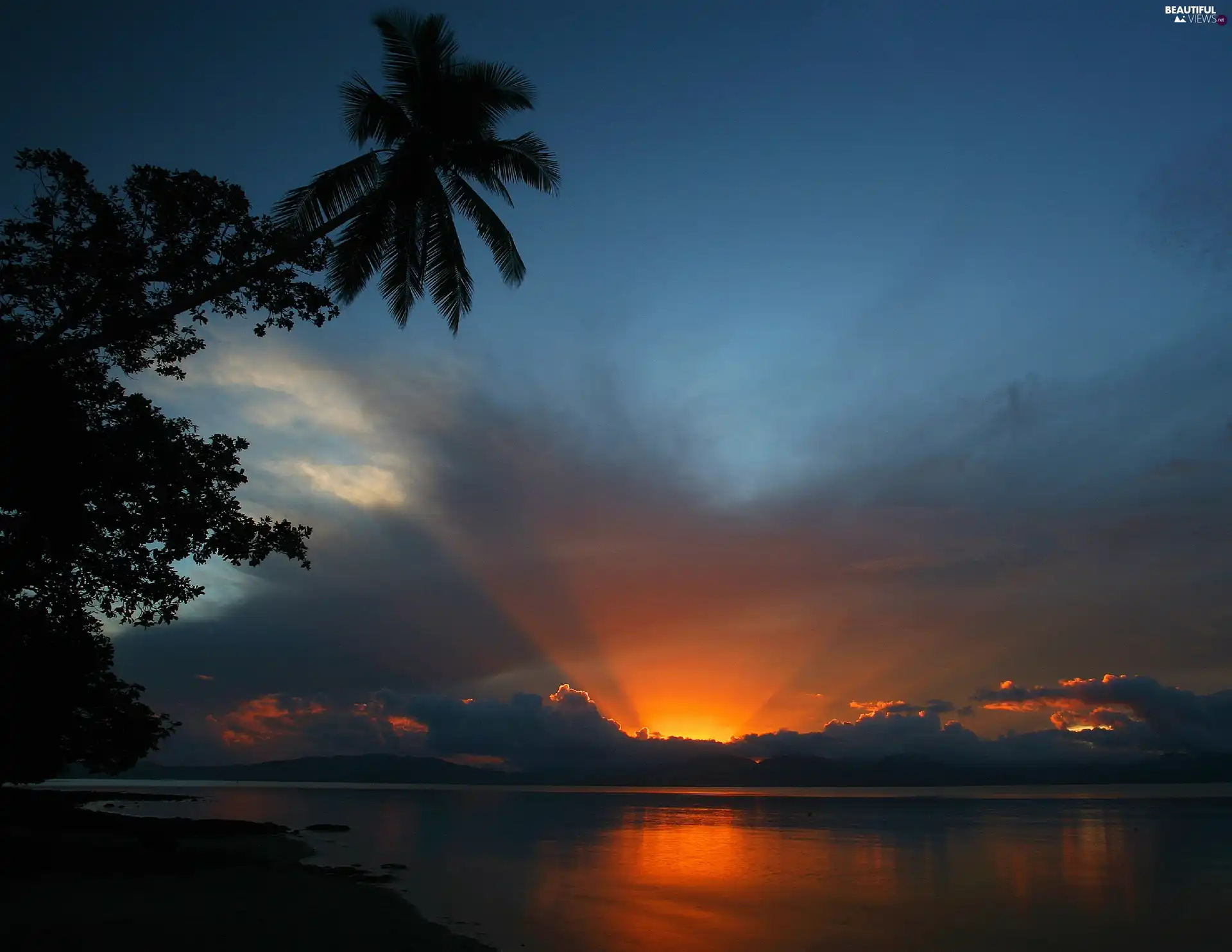 sea, Great Sunsets, Natawa, branch