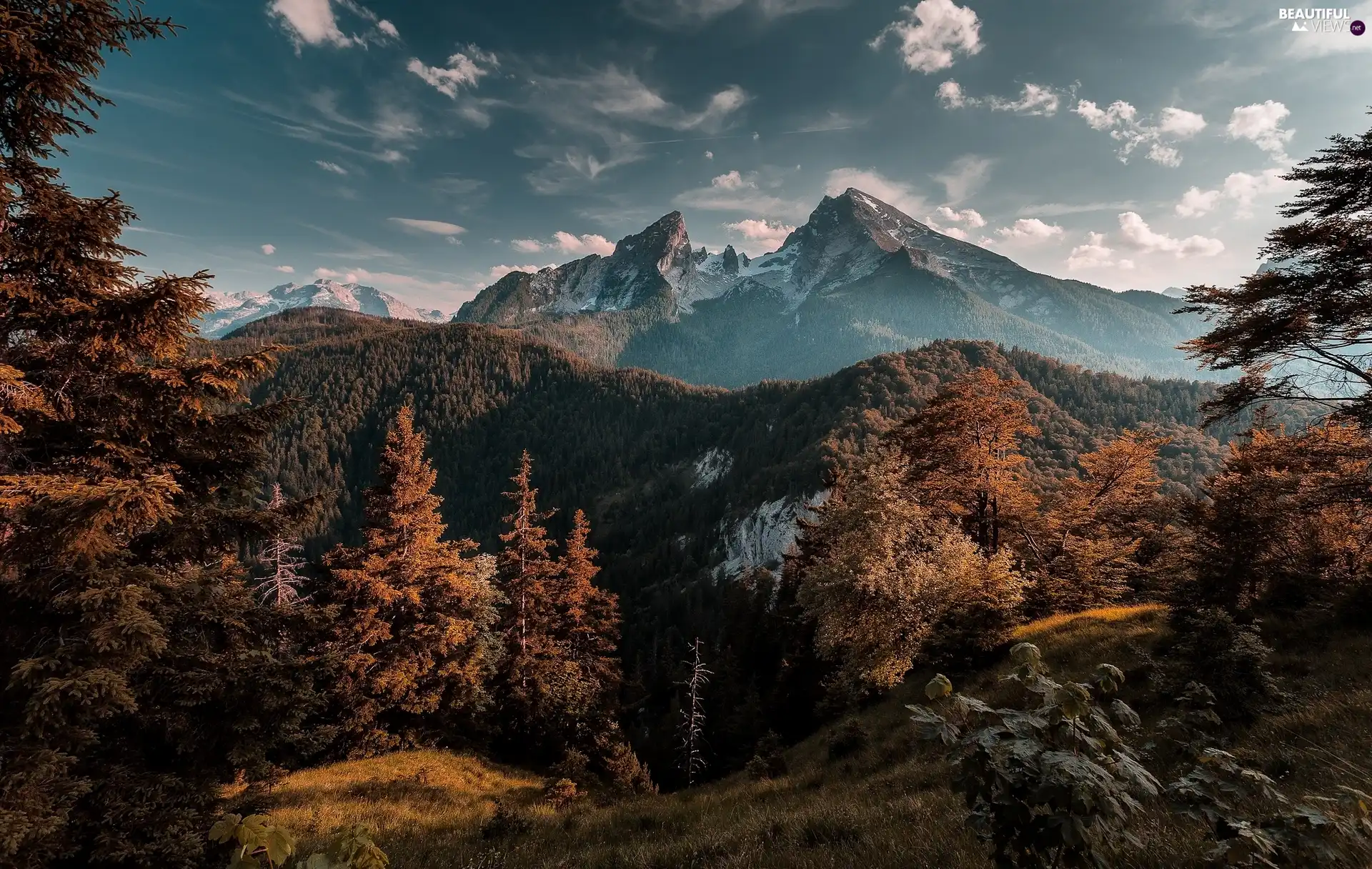 Bavaria, Germany, Berchtesgaden National Park, Mountains, viewes, woods, Watzmann Mountain, trees, Berchtesgaden Alps