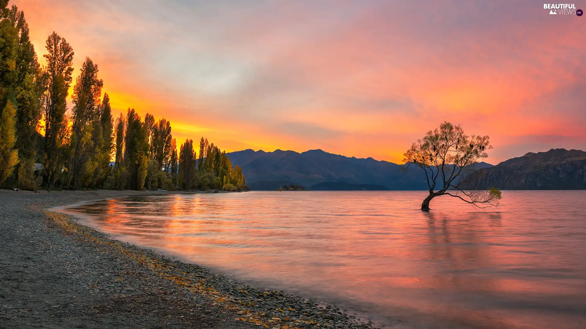 Great Sunsets, Wanaka Lake, trees, inclined, Mountains, New Zeland, Otago Region, viewes, trees, autumn, birds