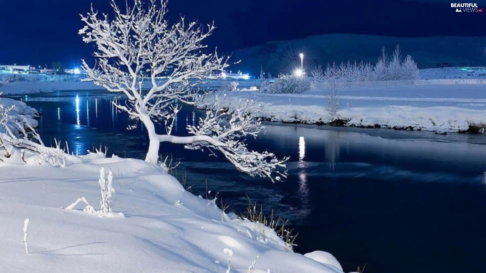 lake, Winter, Night, trees