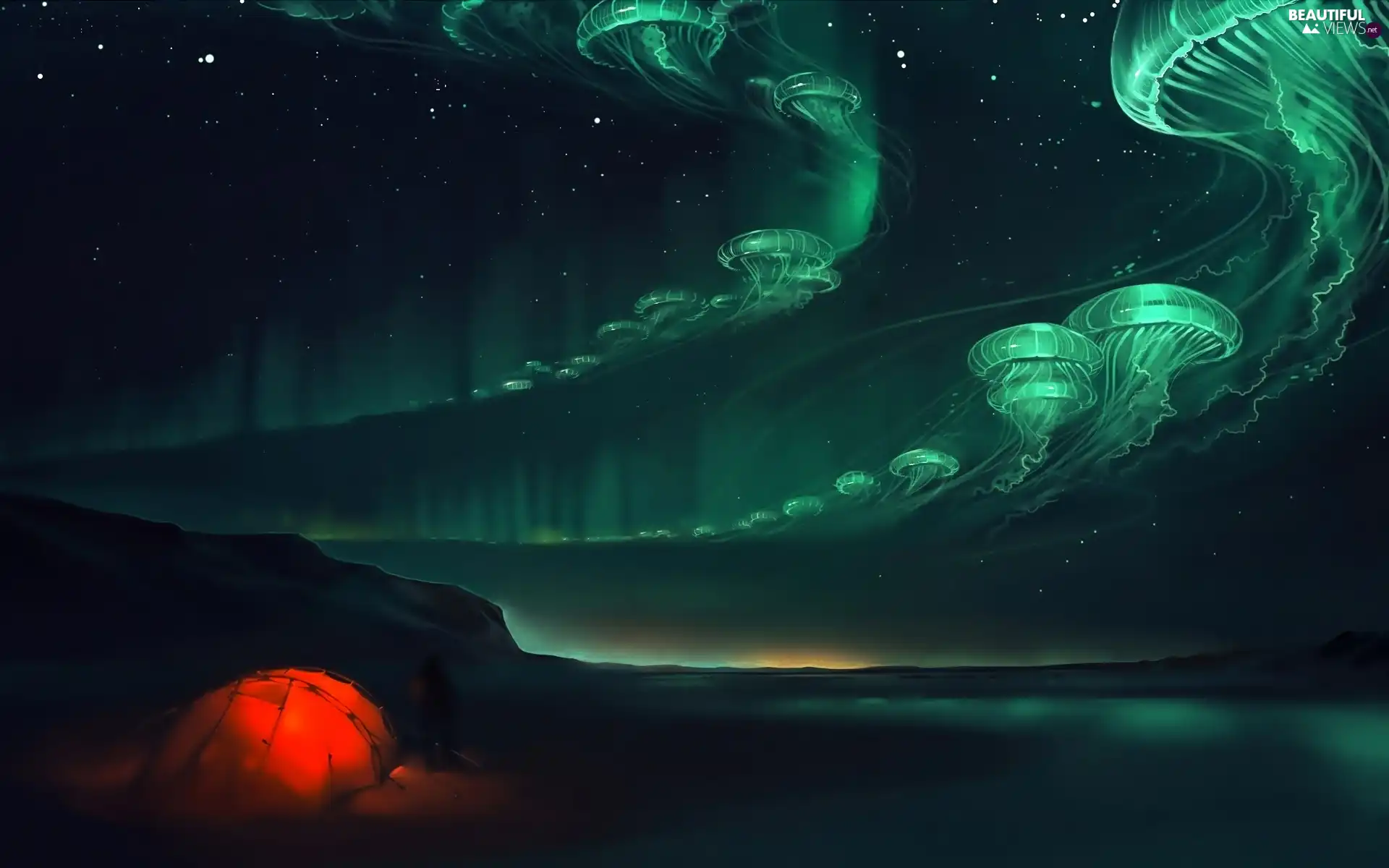 aurora polaris, fantasy, Night