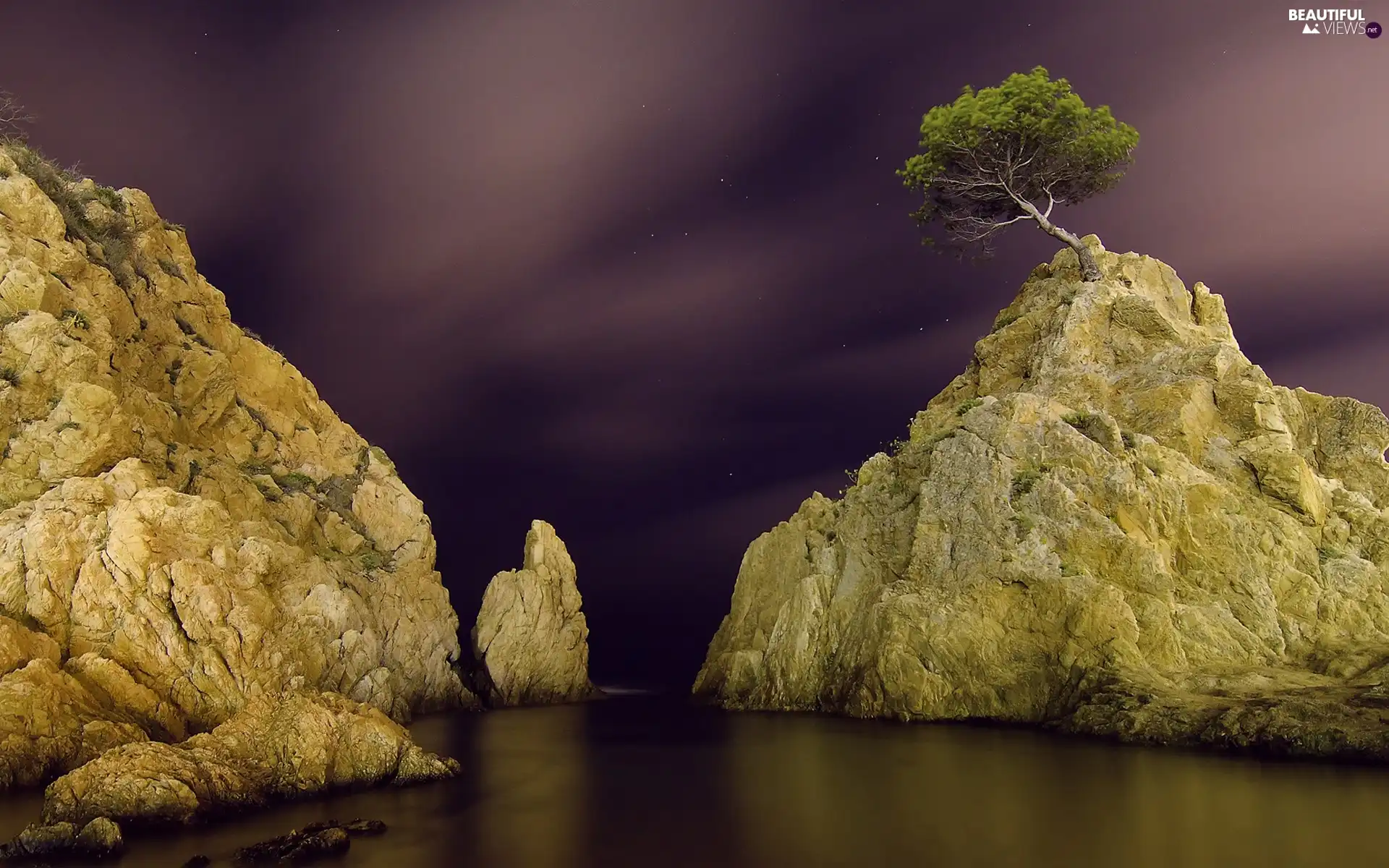 rocks, trees, Night, sea