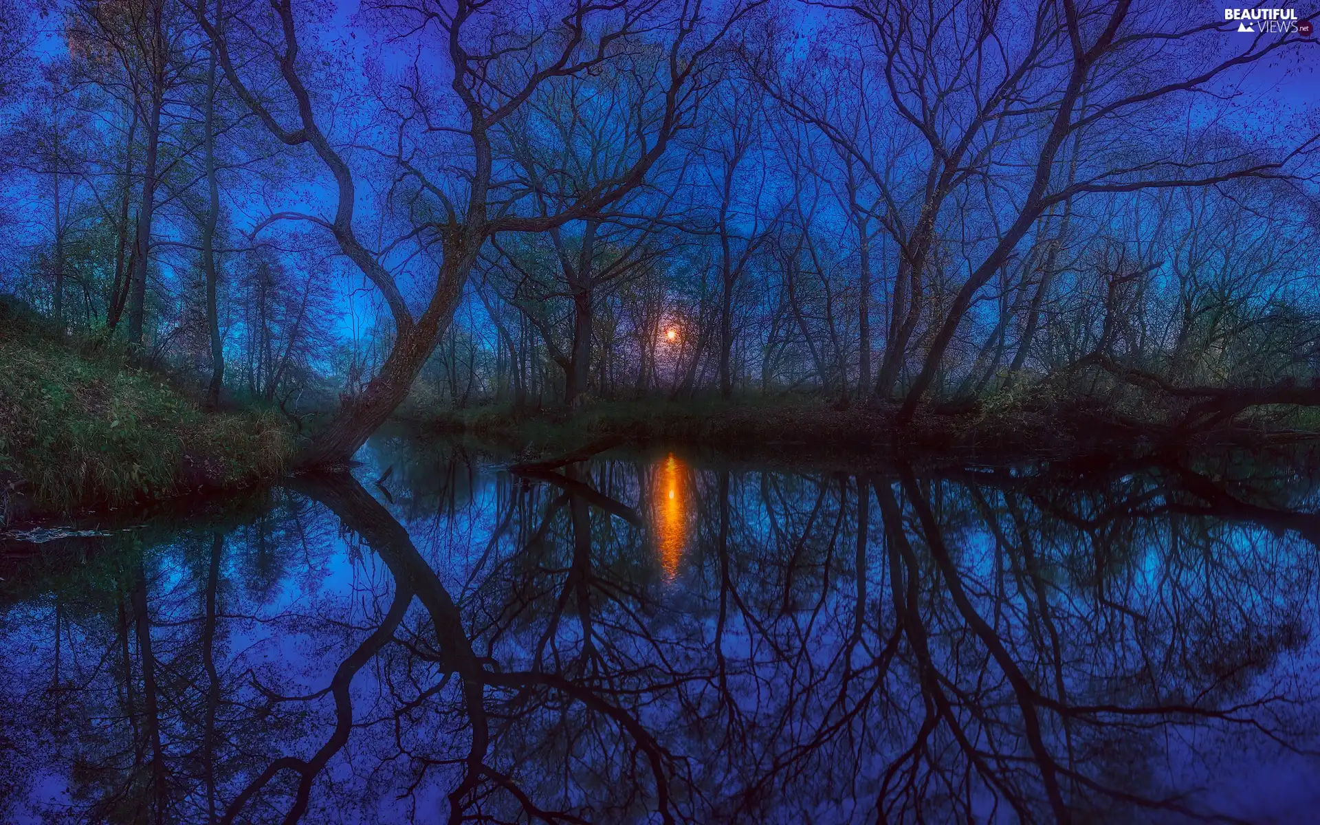 viewes, lake, moon, Night, reflection, trees