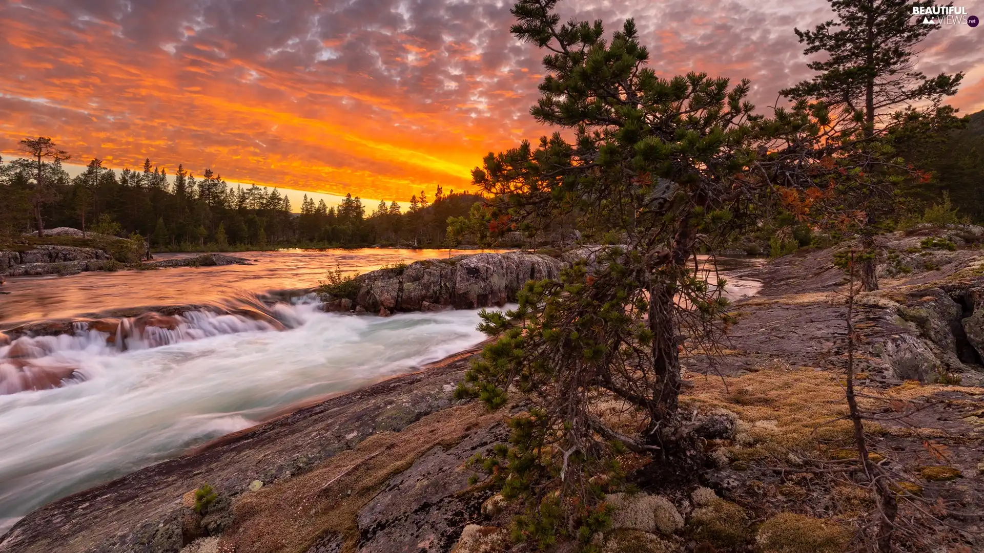 viewes, River, clouds, Norway, Great Sunsets, trees