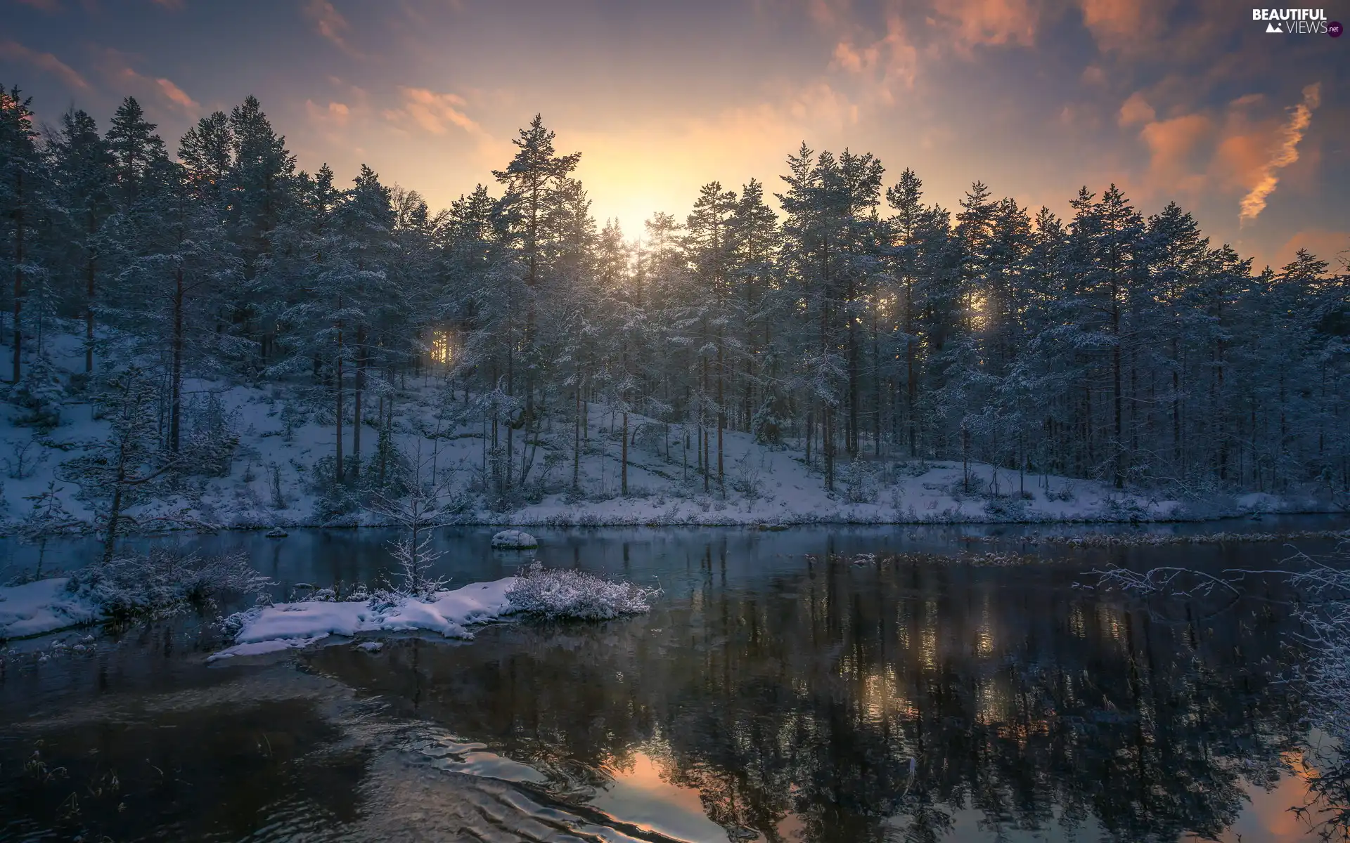 trees, lake, Ringerike, winter, Great Sunsets, viewes, Norway