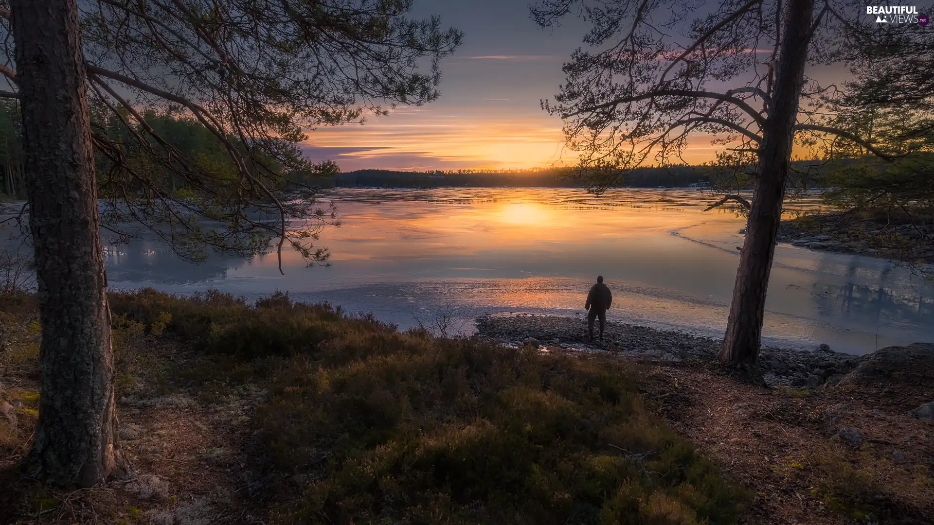 viewes, lake, Ringerike, Norway, Great Sunsets, trees