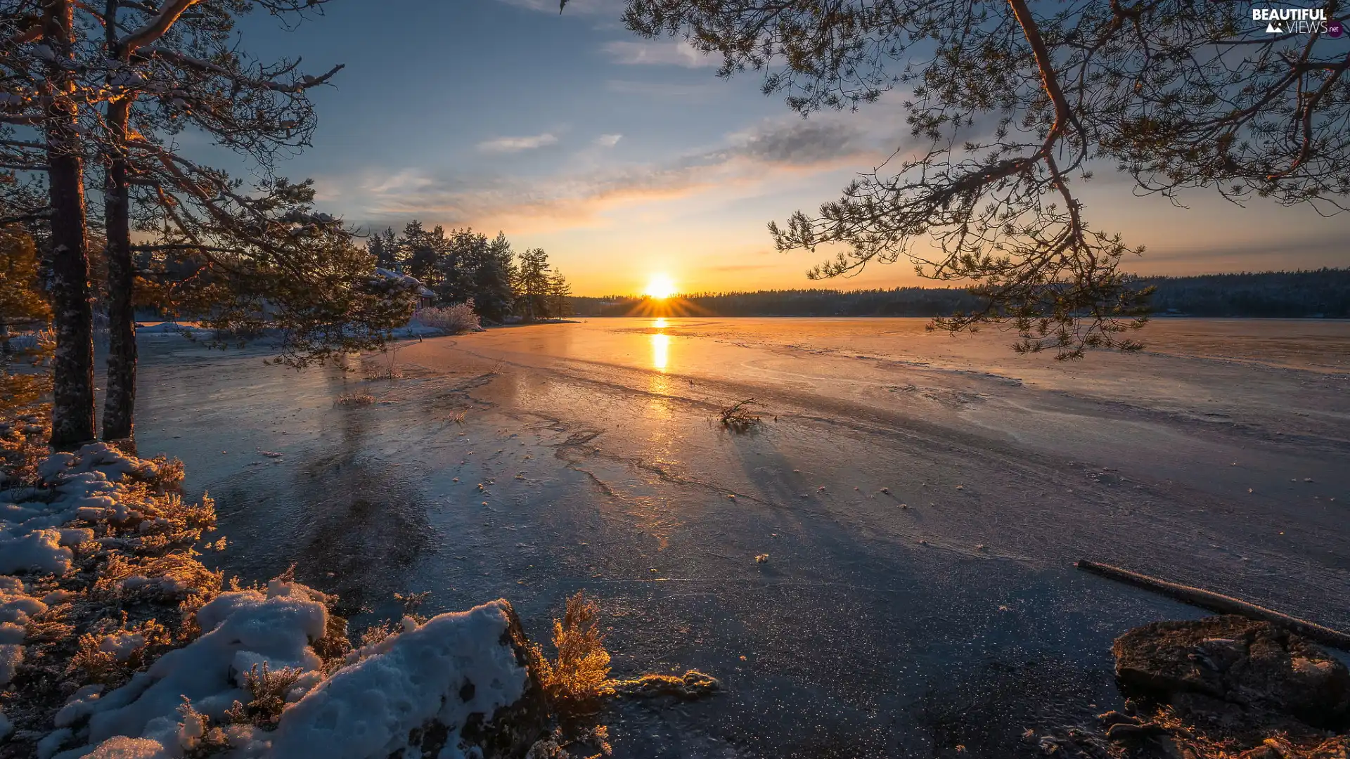 Great Sunsets, trees, Ringerike, viewes, lake, winter, Norway