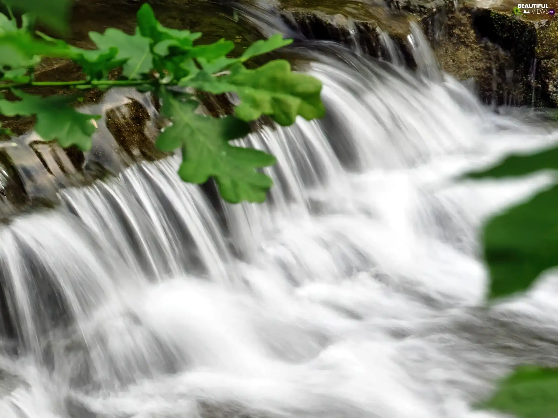 oak, waterfall, Leaf