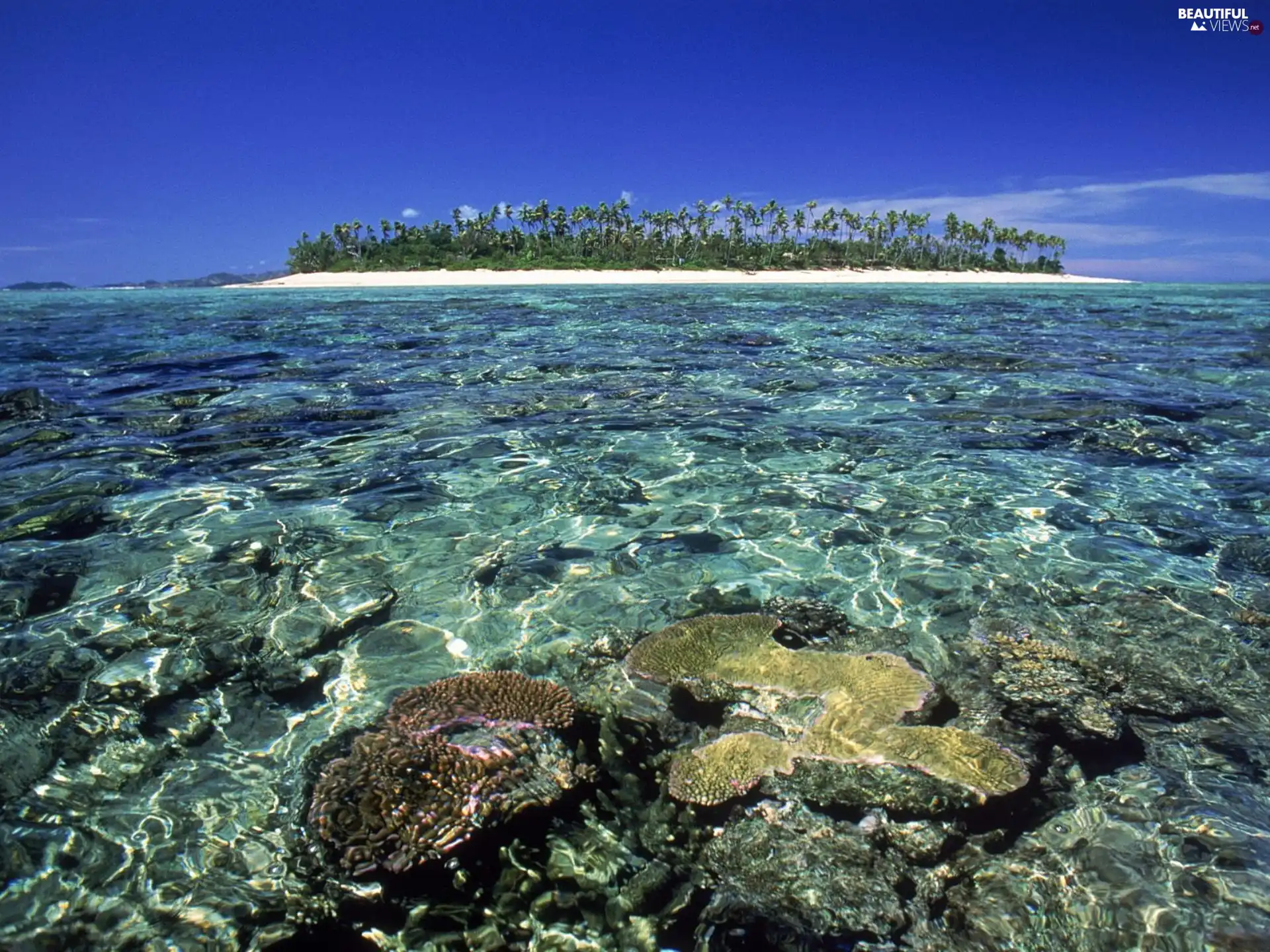 Island, Ocean