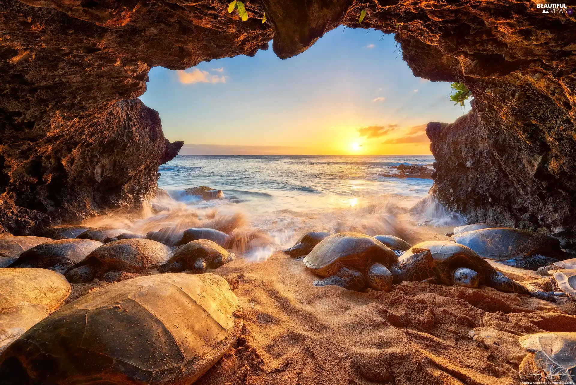 Sea Turtles, Great Sunsets, Pacific Ocean, cave, Aloha State Hawaje