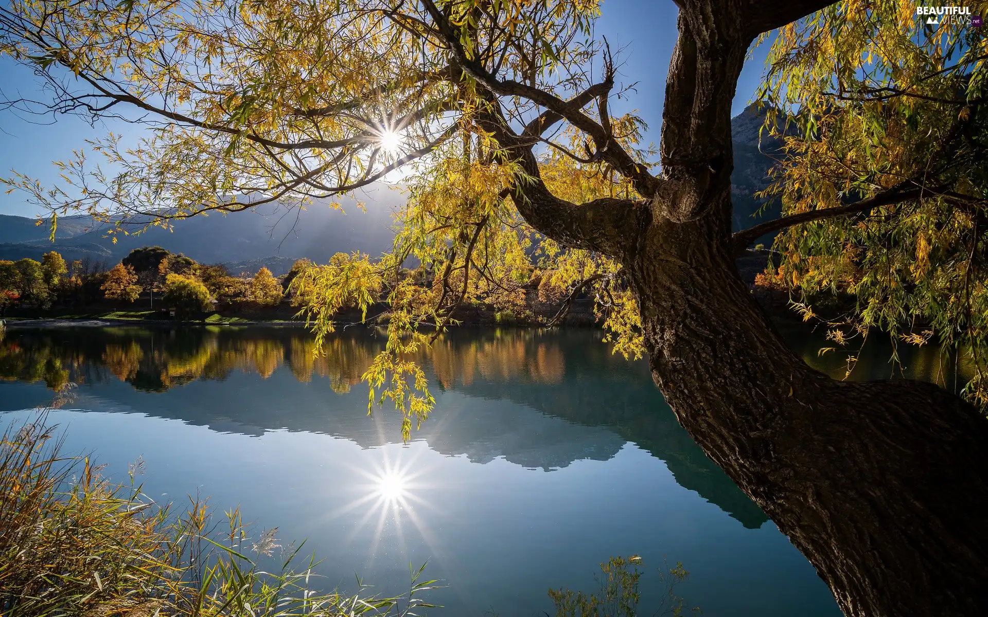 lake, trees, rays of the Sun, inclined