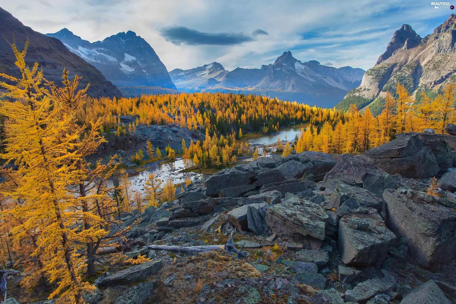 Stones, Mountains, Ohara, Canada, lake, forest