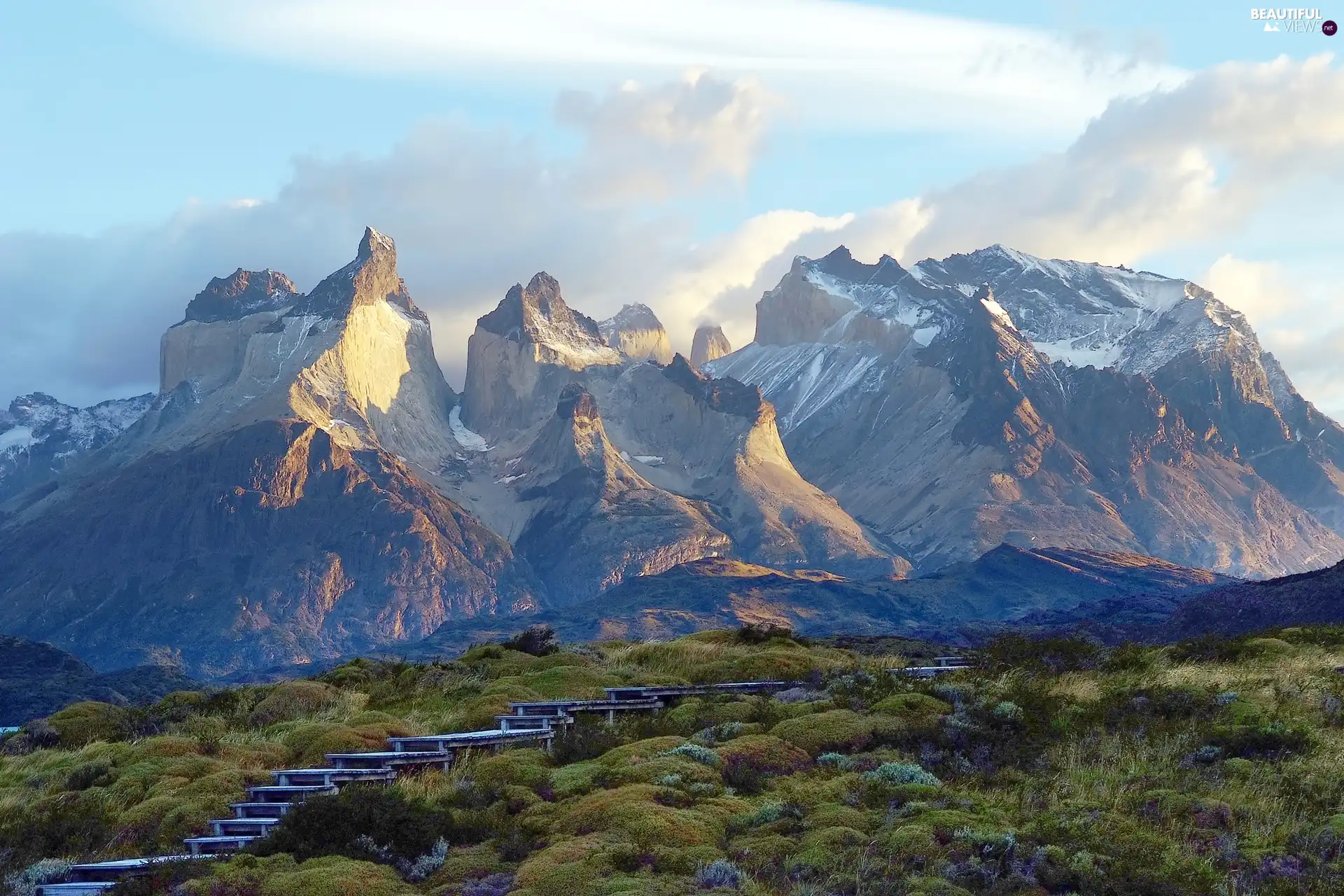 Cordillera del Paine Mountains, Patagonia, wood, Torres del Paine National Park, Chile, VEGETATION, Degrees