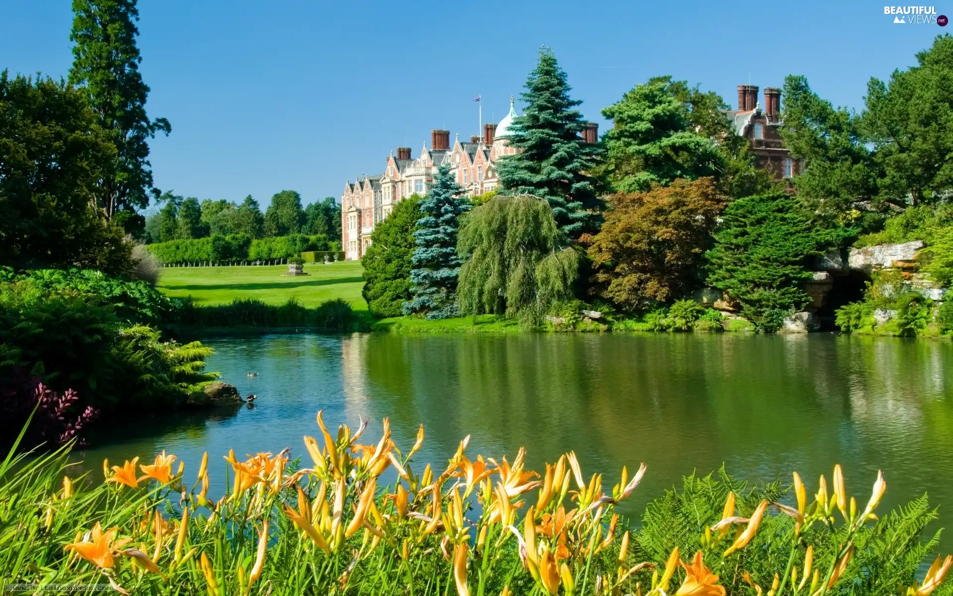 viewes, Flowers, Sandringham, trees, lake, palace, England