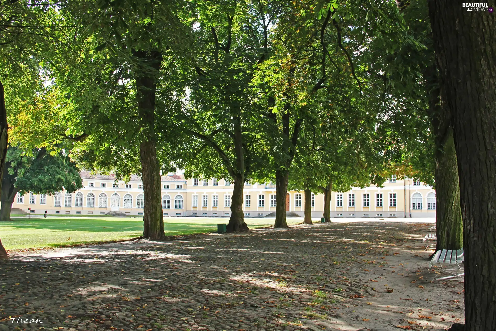 palace, Rogalin, chestnut, Park, alley