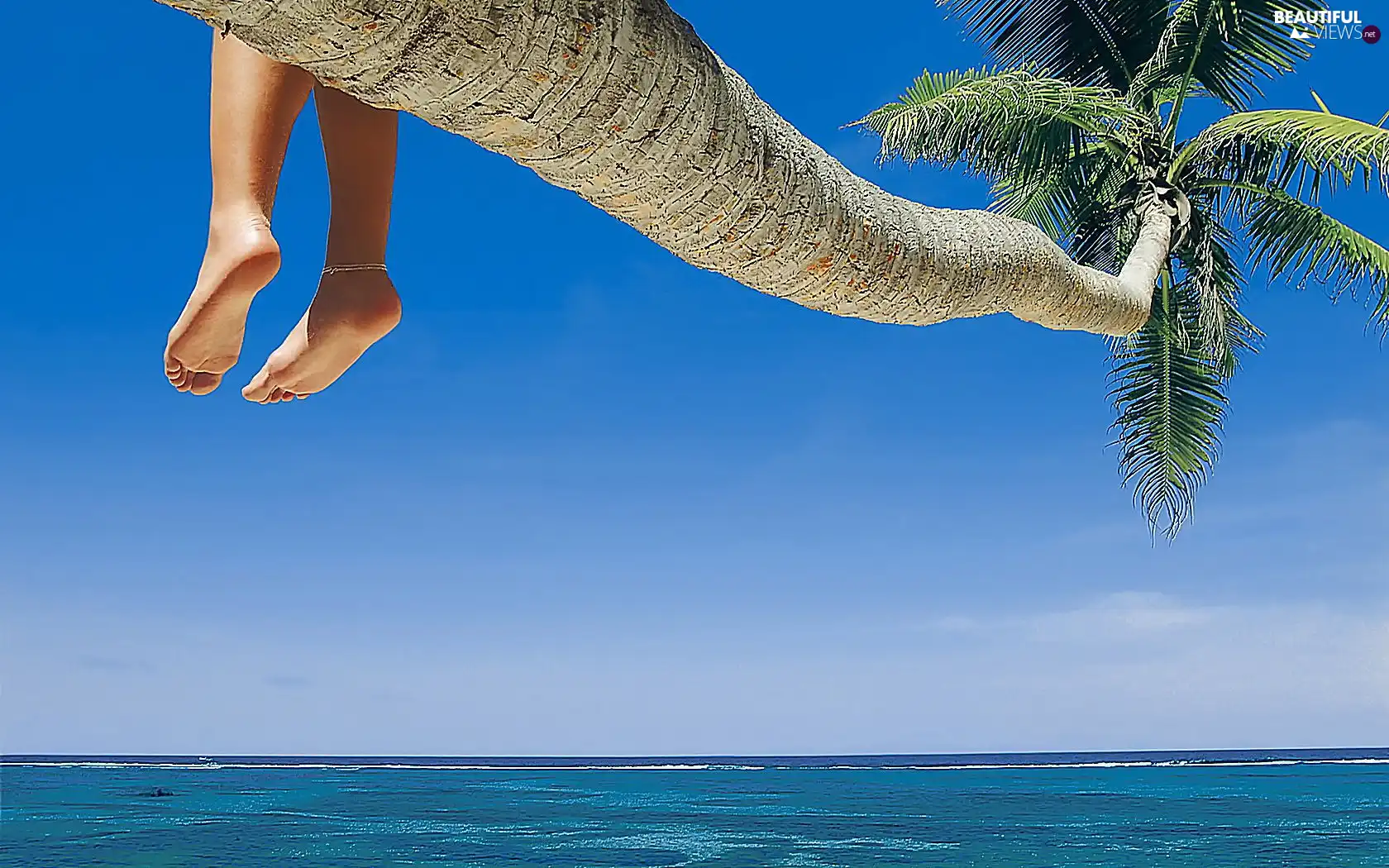Palm, legs, Beaches
