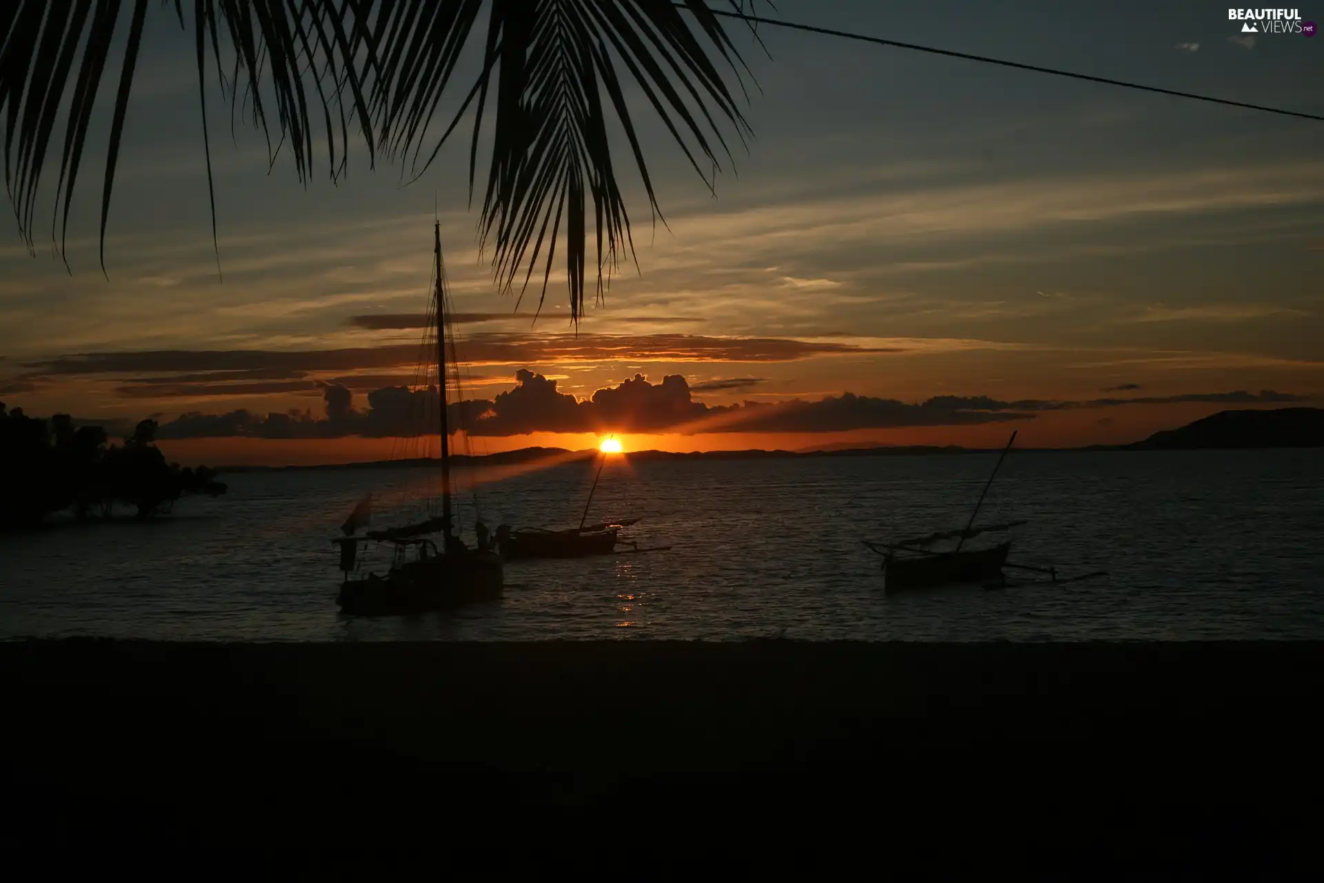 Madagaskar, boats, Palm, water