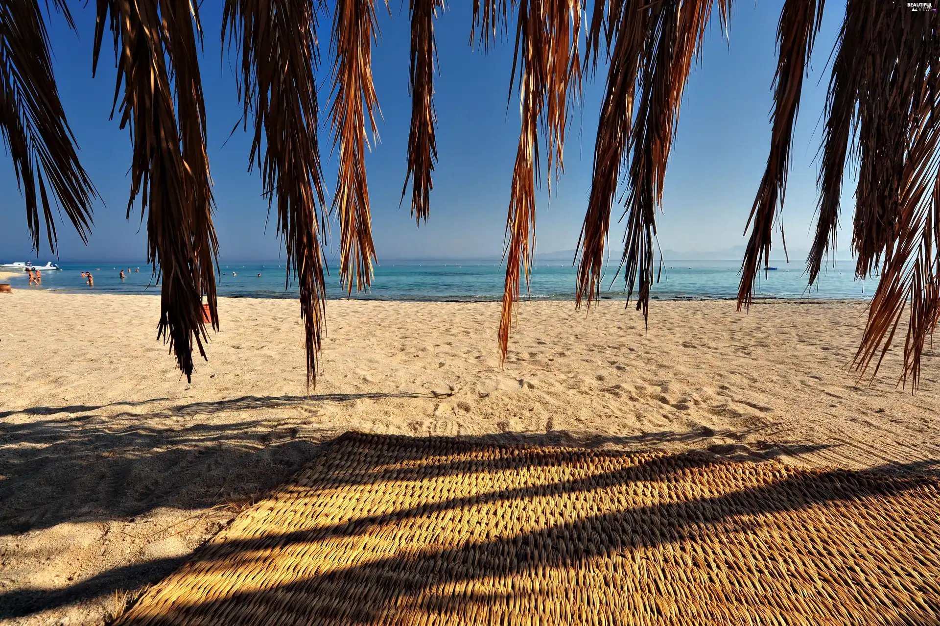 Beaches, branch pics, Palms, mat