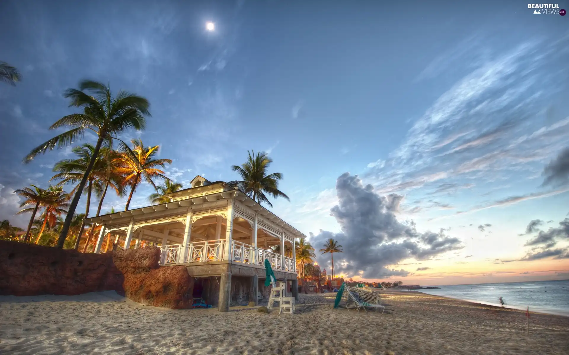 Palms, sea, Beaches