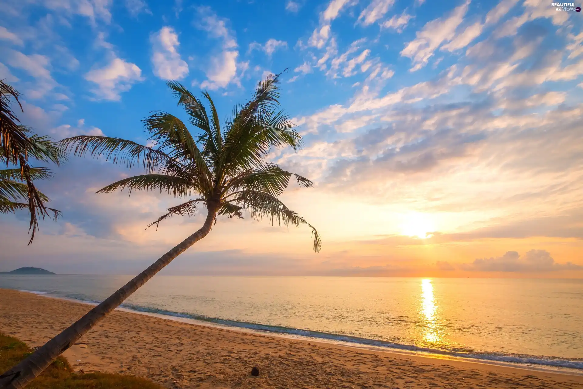 Beaches, sea, sun, Palms