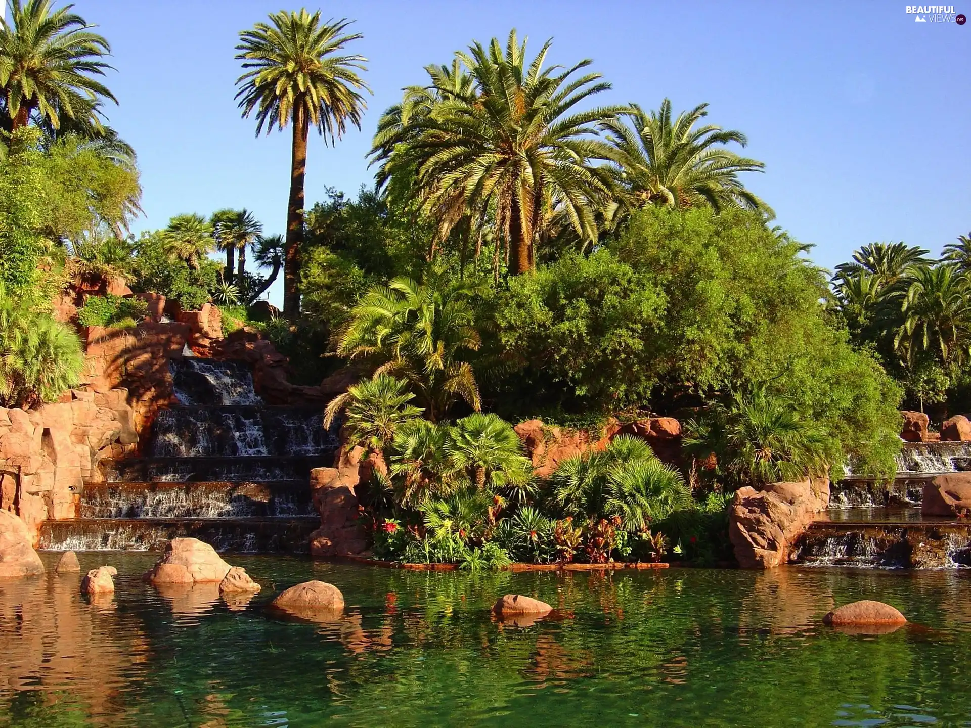 Garden, Pond - car, Palms, Cascades