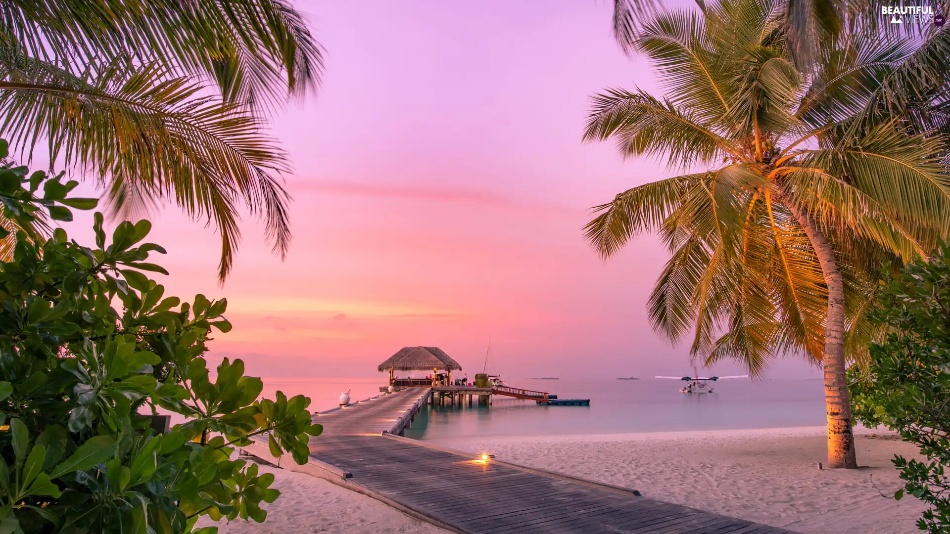 Platform, arbour, Maldives, Beaches, holiday, Beaches, sea, Palms