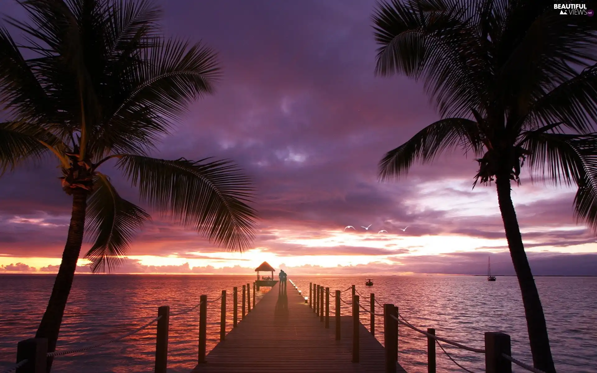 Palms, pier, west, sun, sea