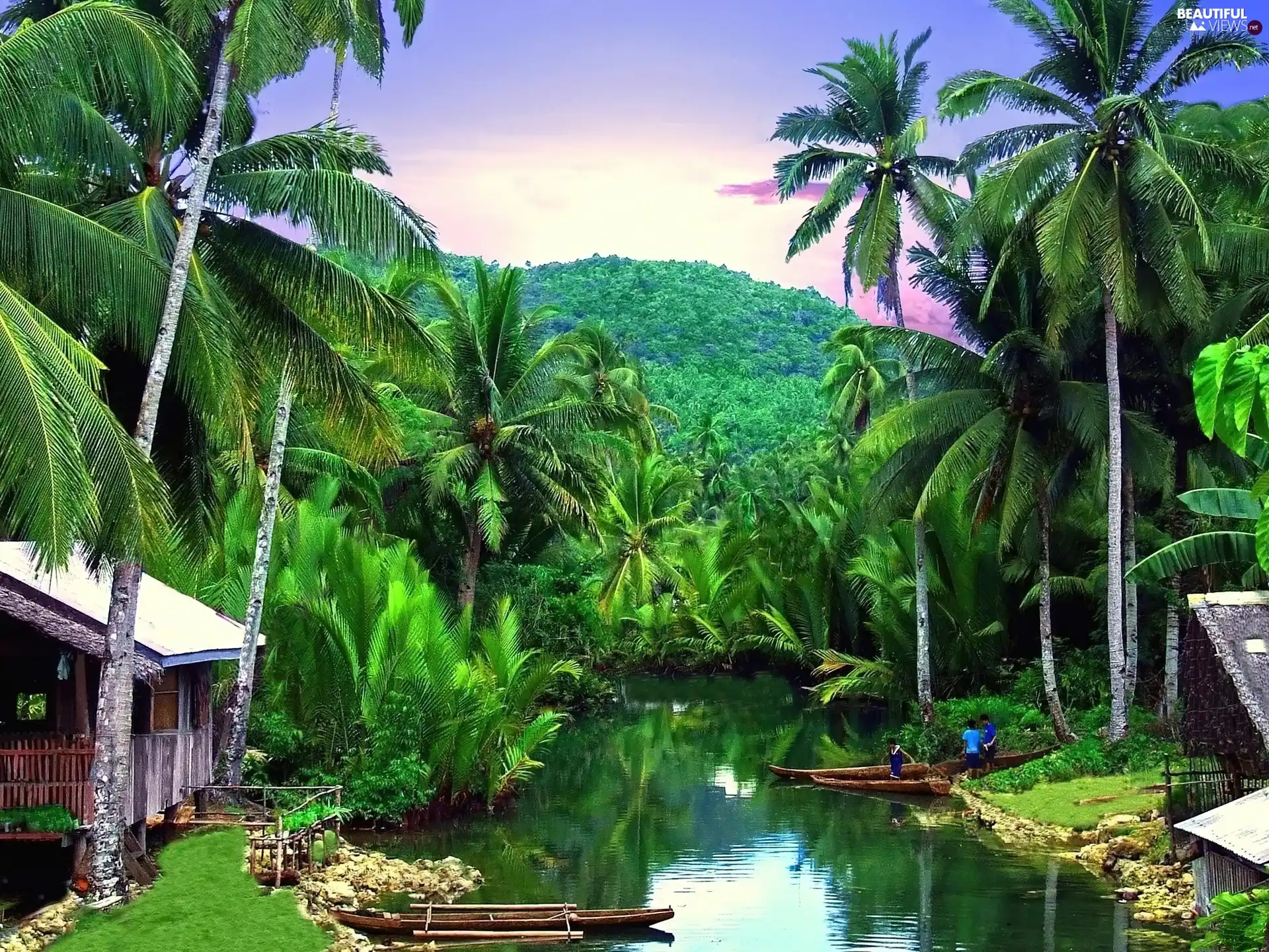 River, Mountains, Palms, Boats