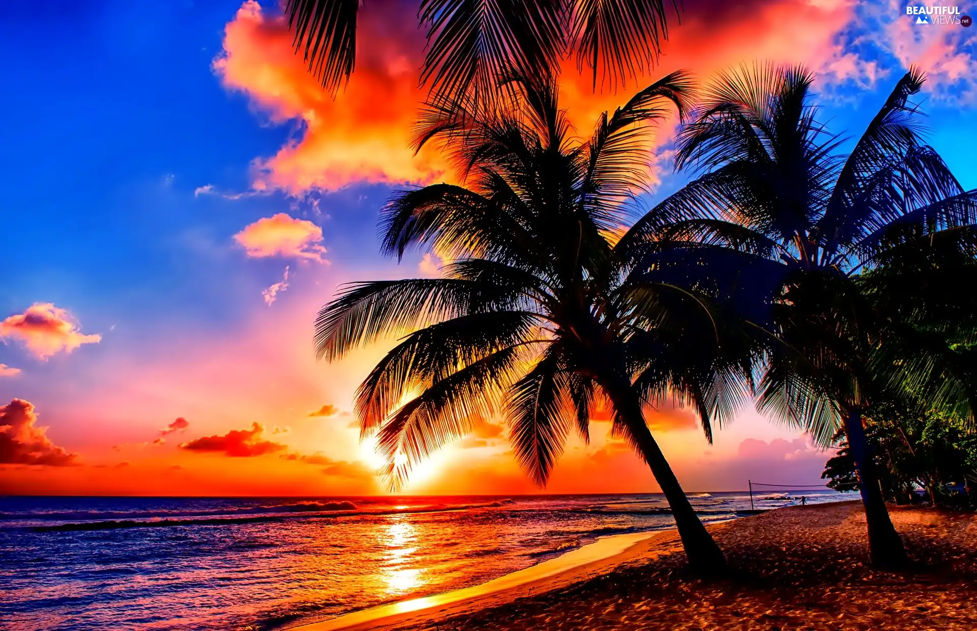 sea, sun, Palms, west