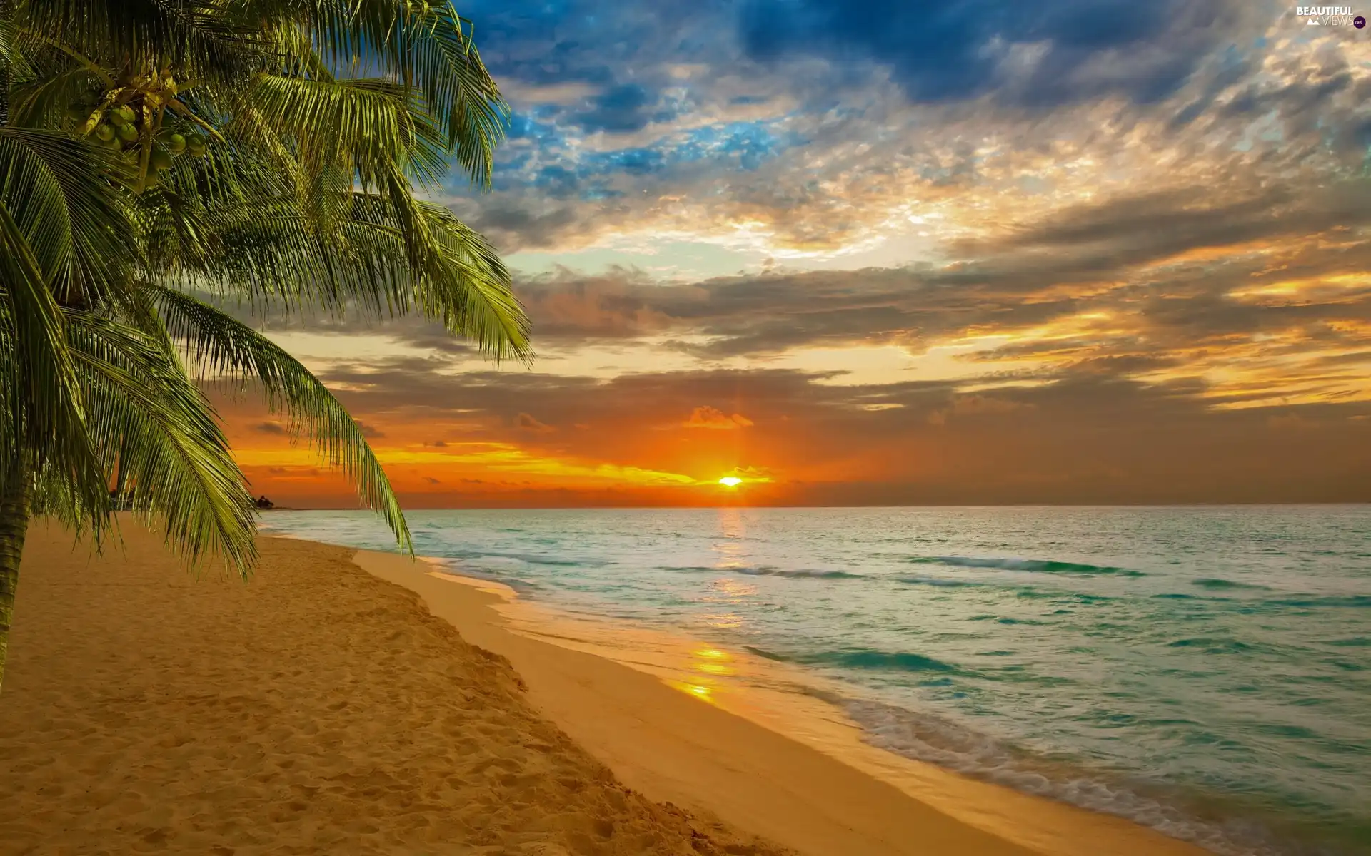 Great Sunsets, Beaches, Palms, sea
