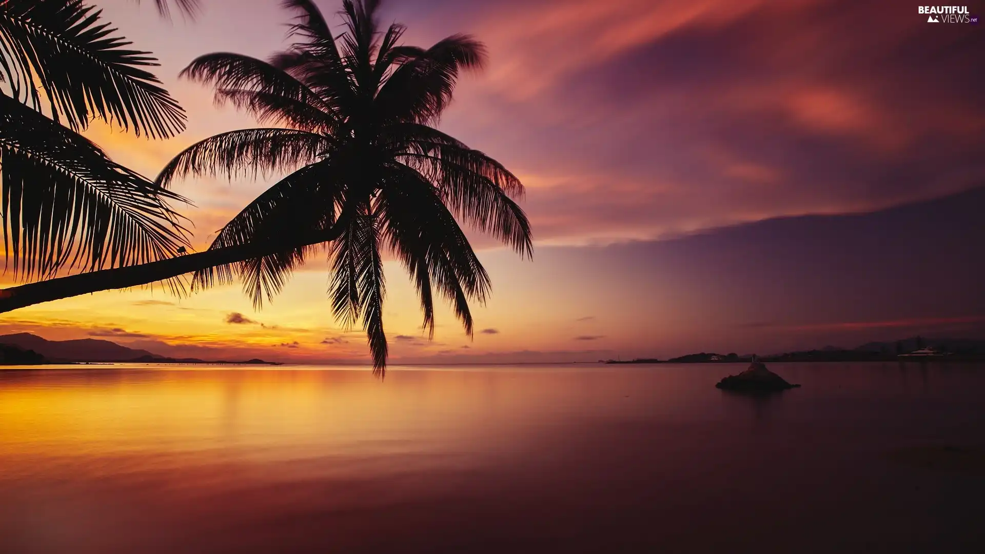 Great Sunsets, sea, Palms