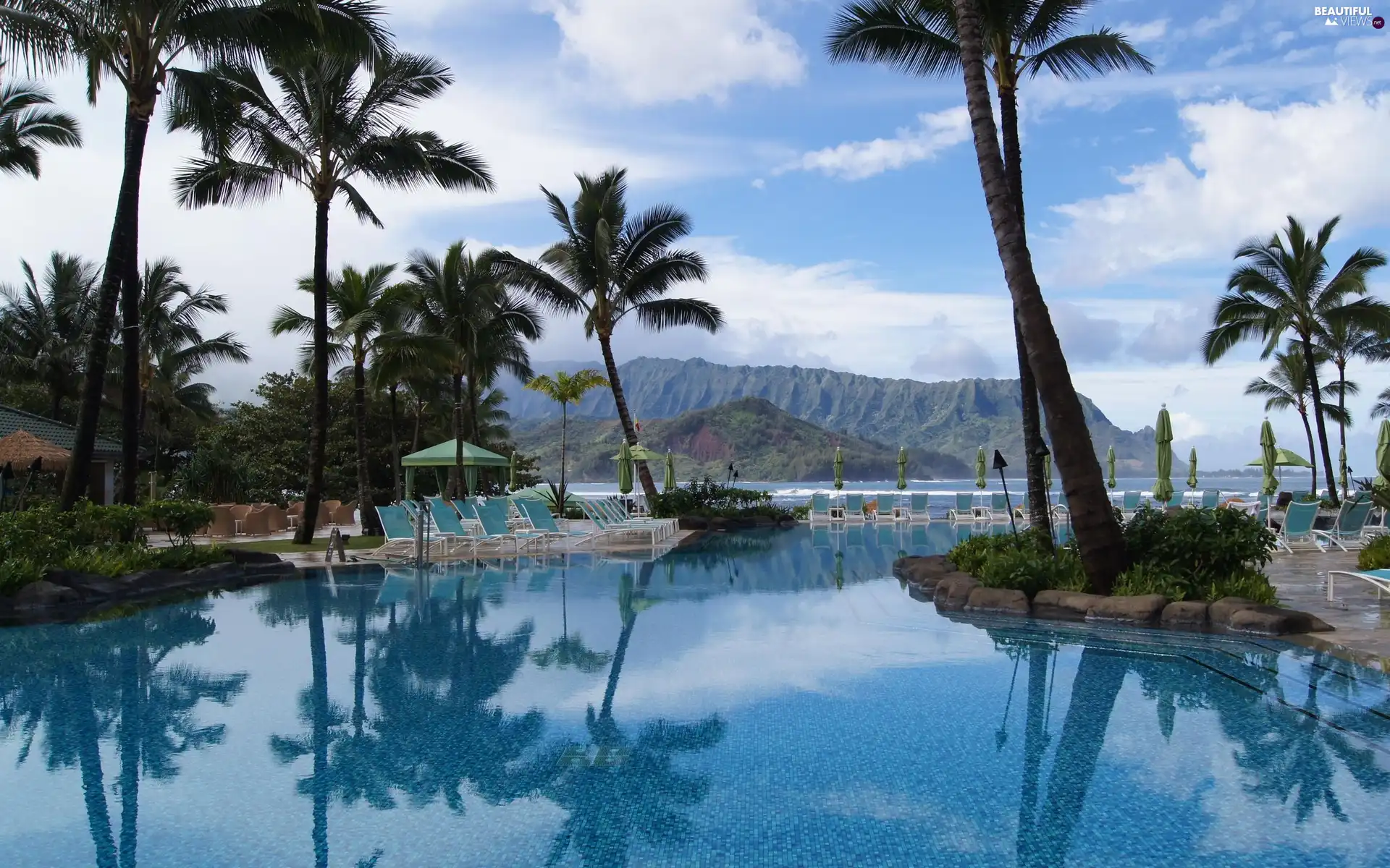 Palms, Tropical, Mountains, Hotel hall, sea