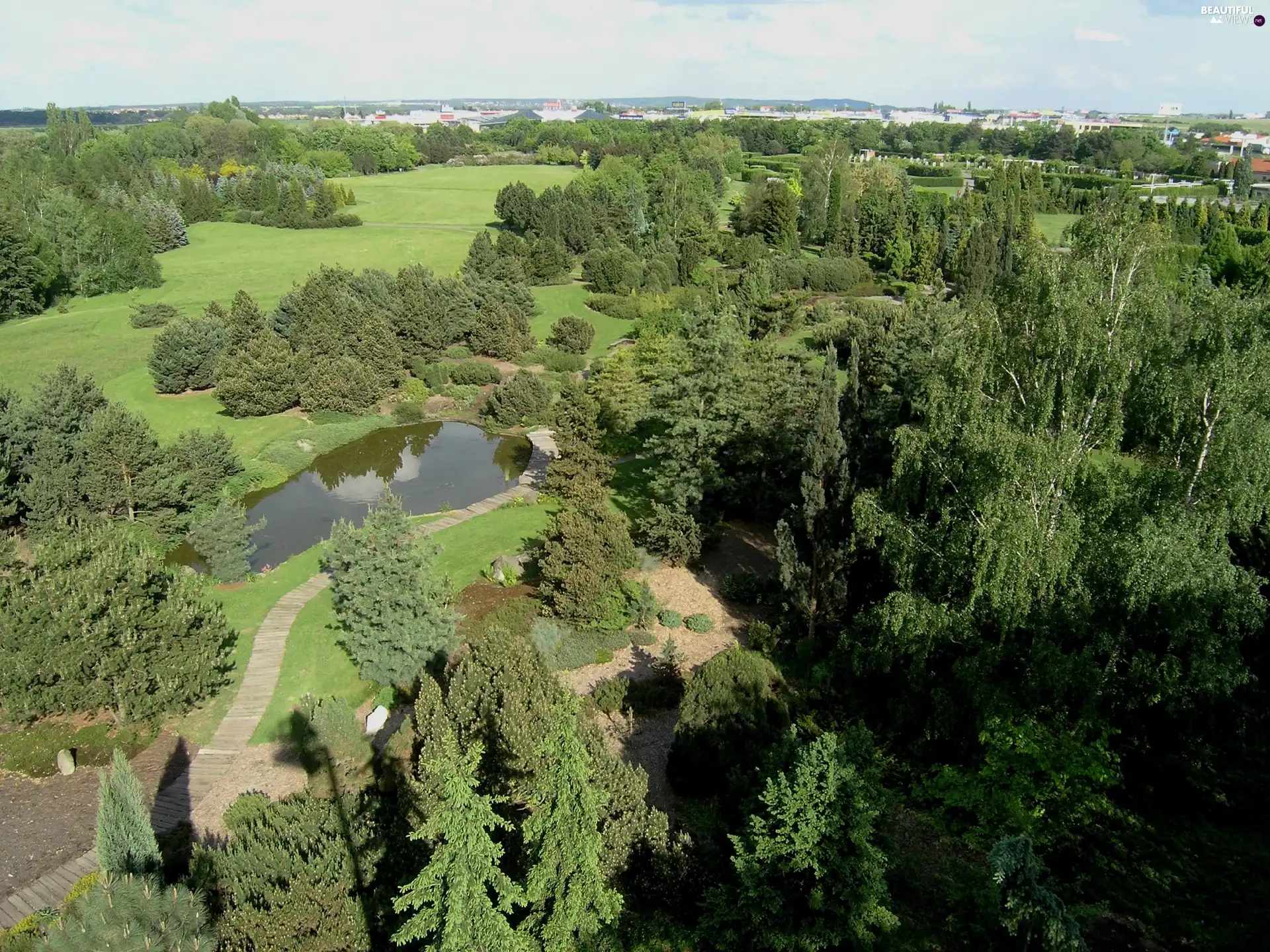 panorama, Park, dendrologic