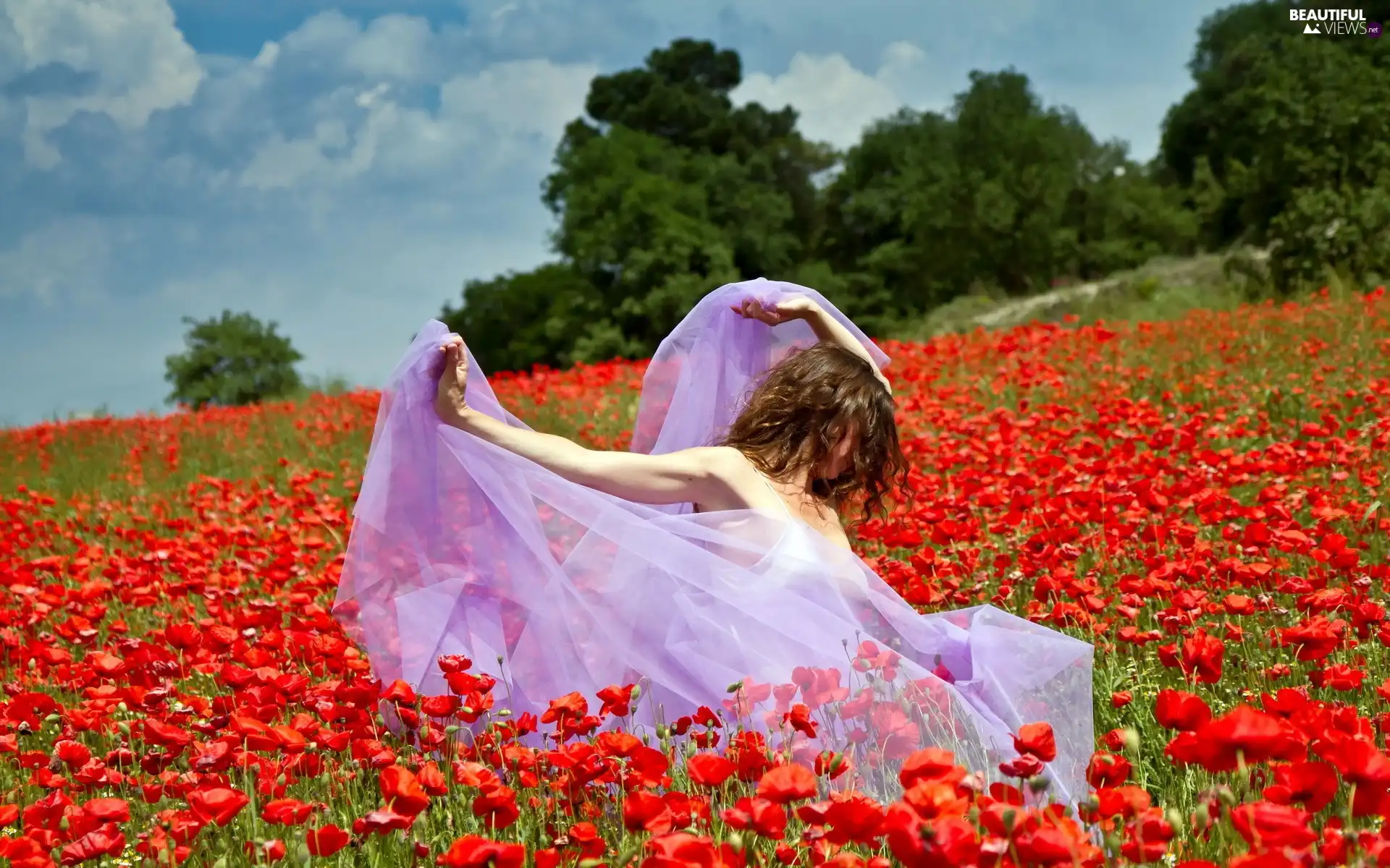 papavers, Women, Meadow