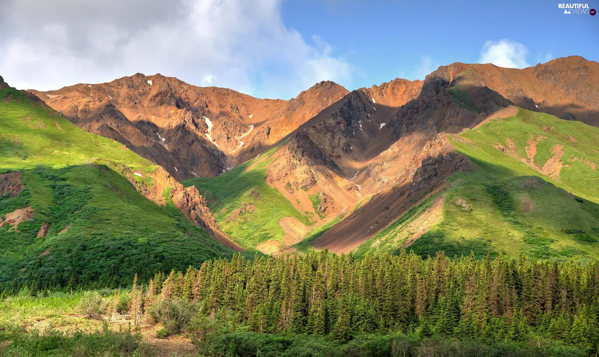 Alaska Range, State of Alaska, trees, Denali National Park, The United States, Cordillera, viewes