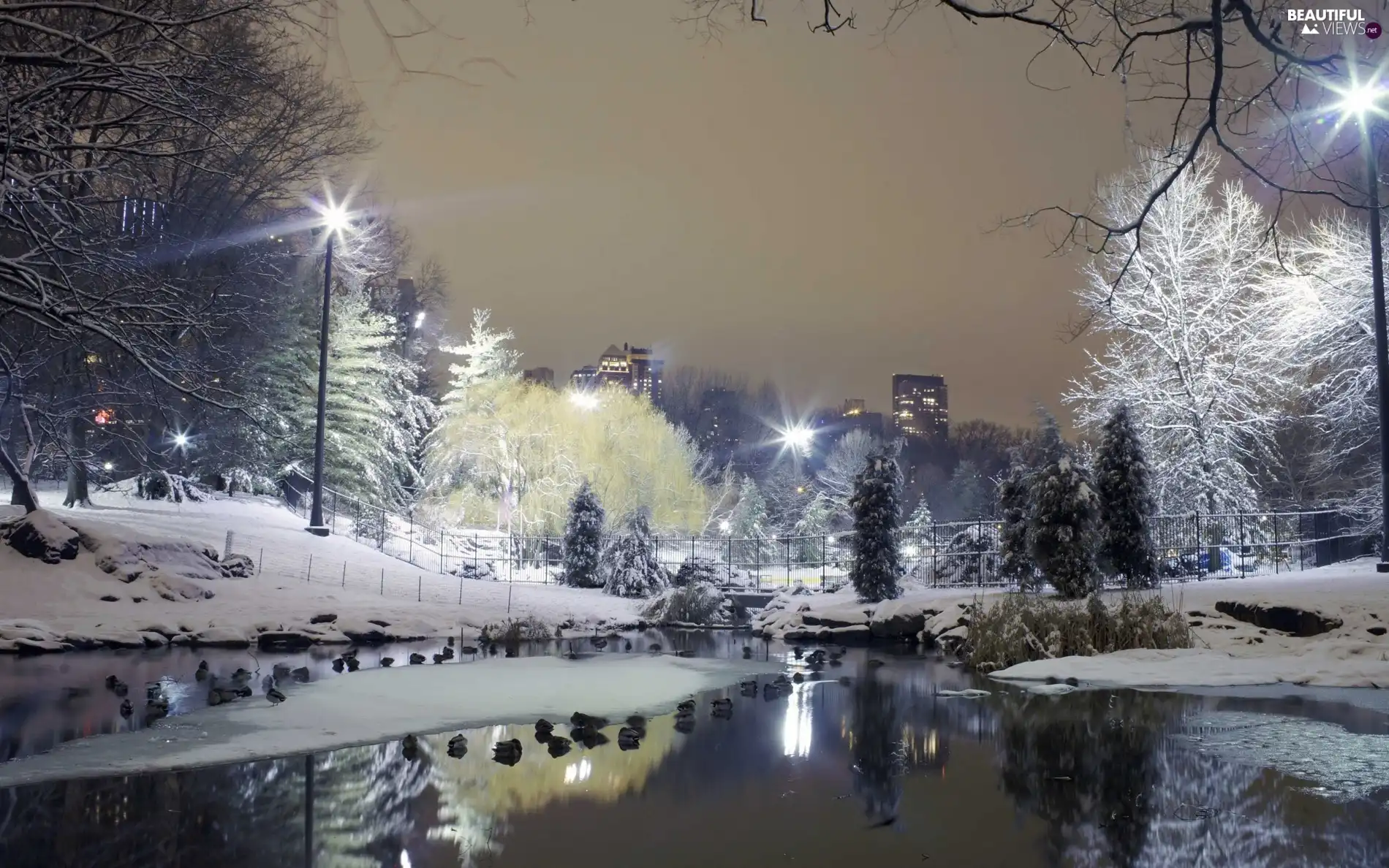 Pond - car, winter, Park