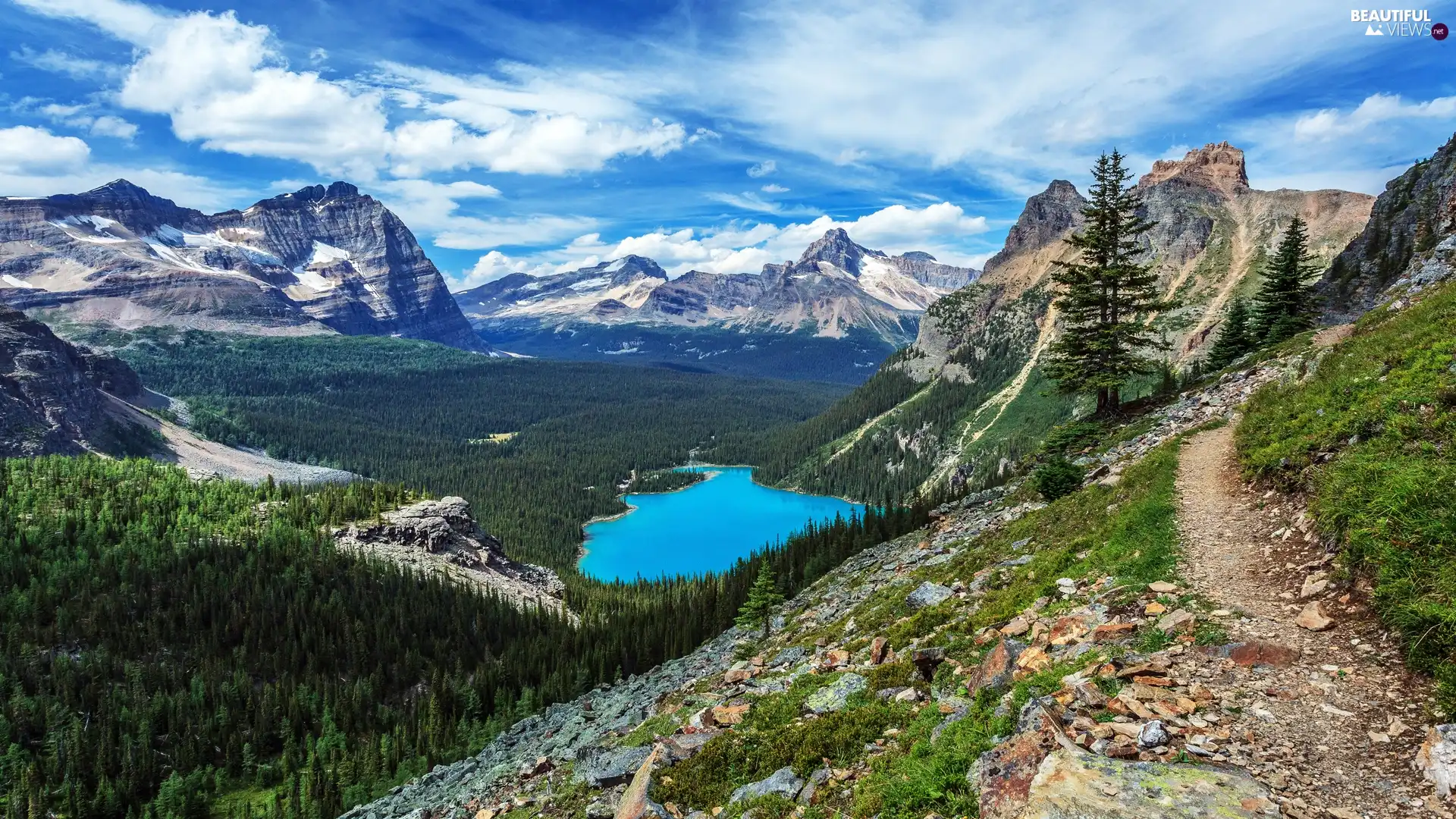 Lake O Hara, British Columbia, forest, Yoho National Park, Canada, Mountains Canadian Rockies, clouds