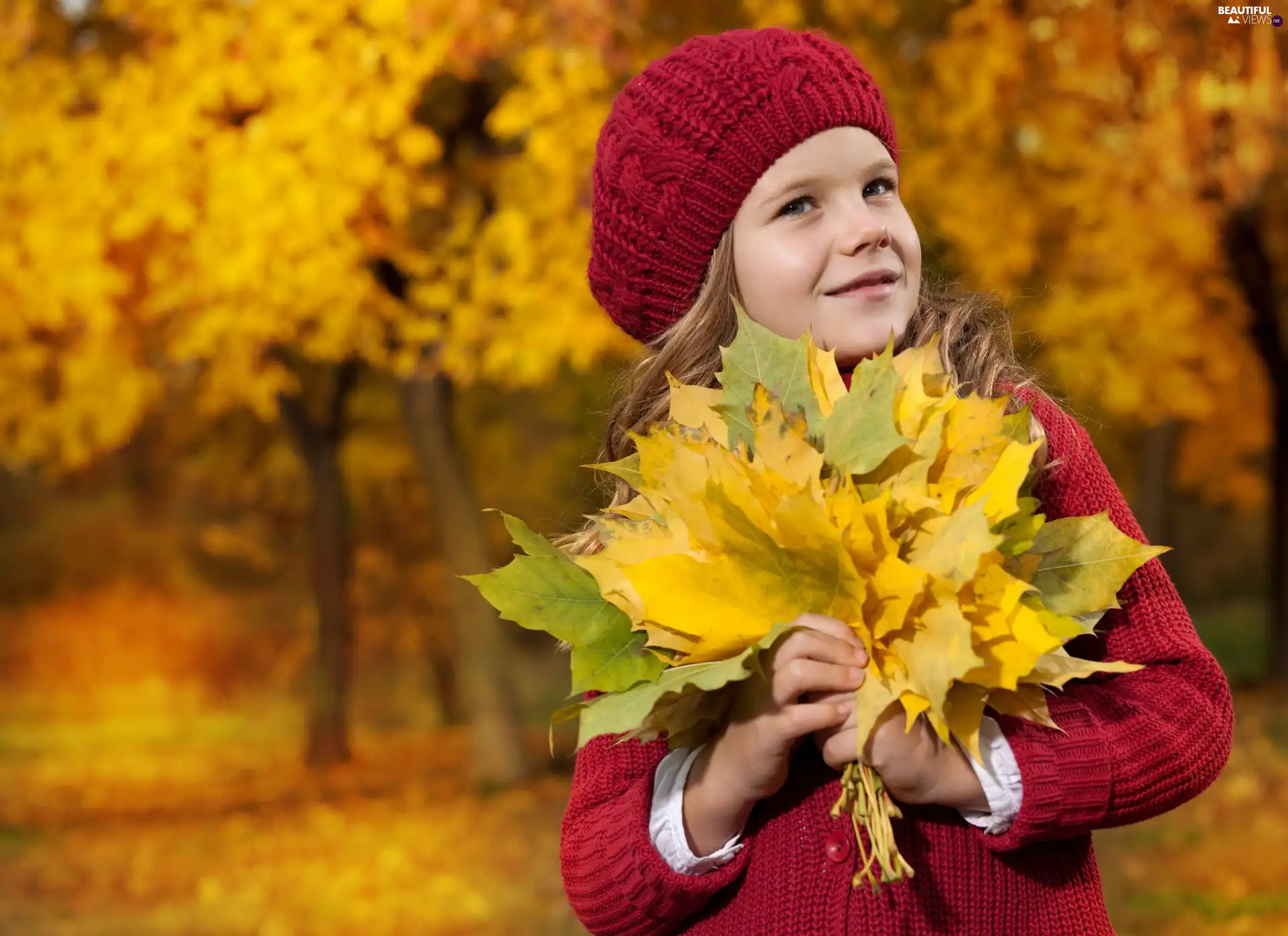 girl, Leaf, Park, Autumn