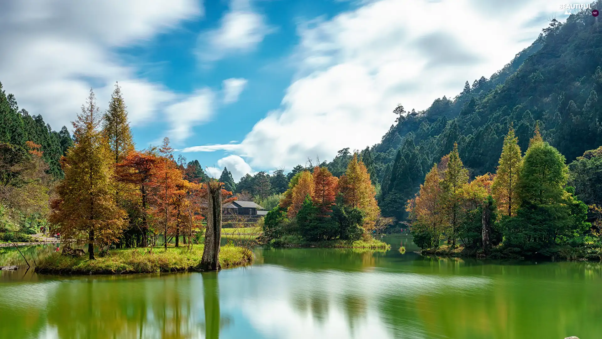 viewes, Park, Hill, trees, lake