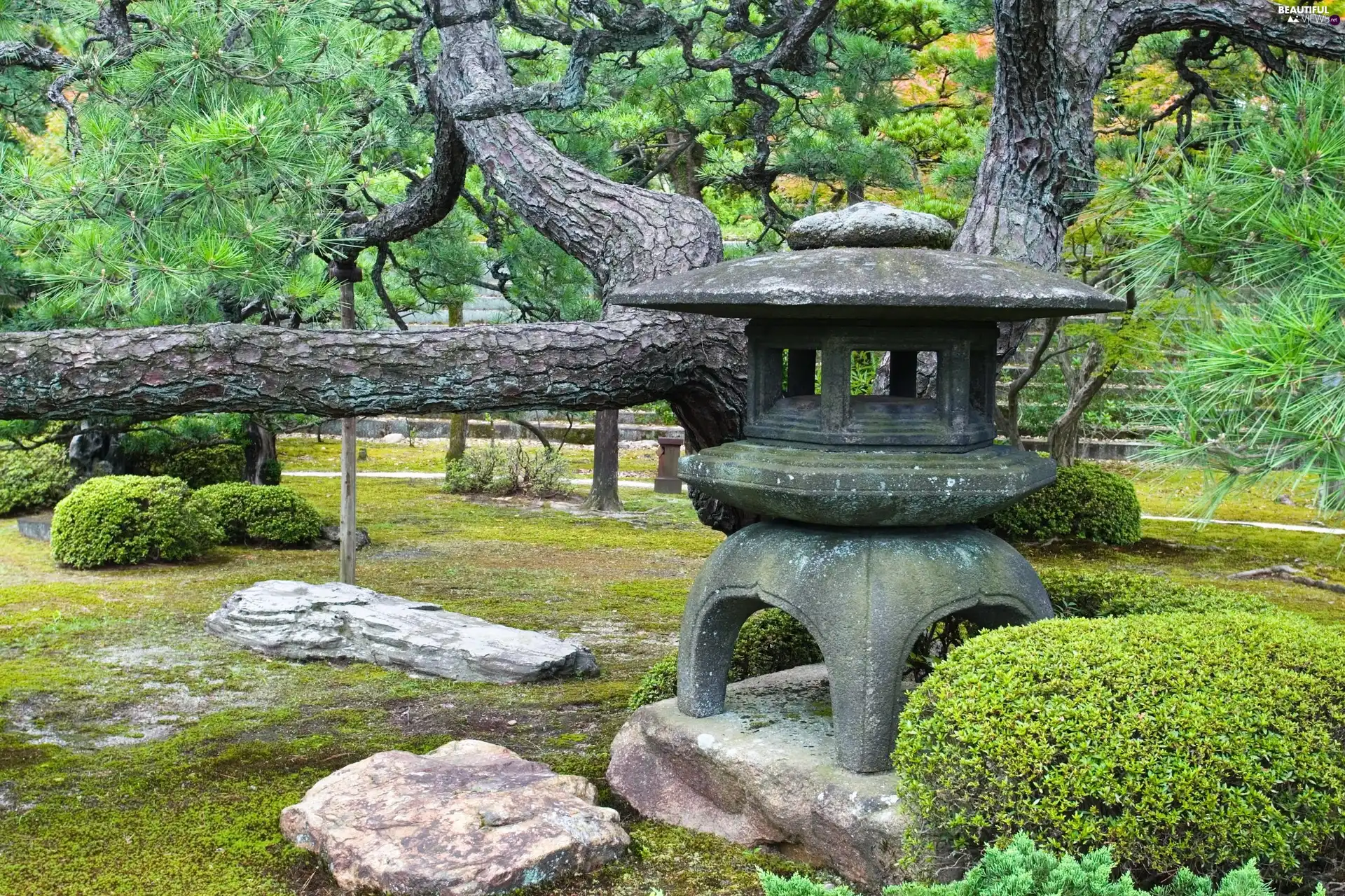 Park, Japan, viewes, Stones, trees