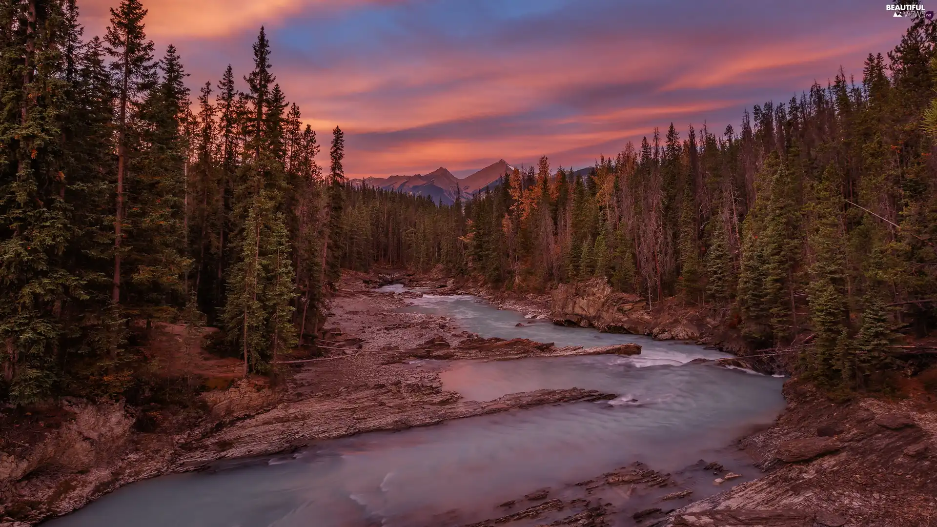 Kicking Horse River, Sunrise, Yoho National Park, forest, Province of British Columbia, Canada, viewes, Mountains, trees