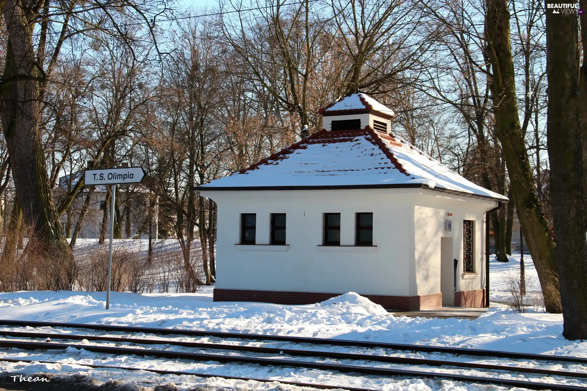 Park, Poznań, White, Home, small