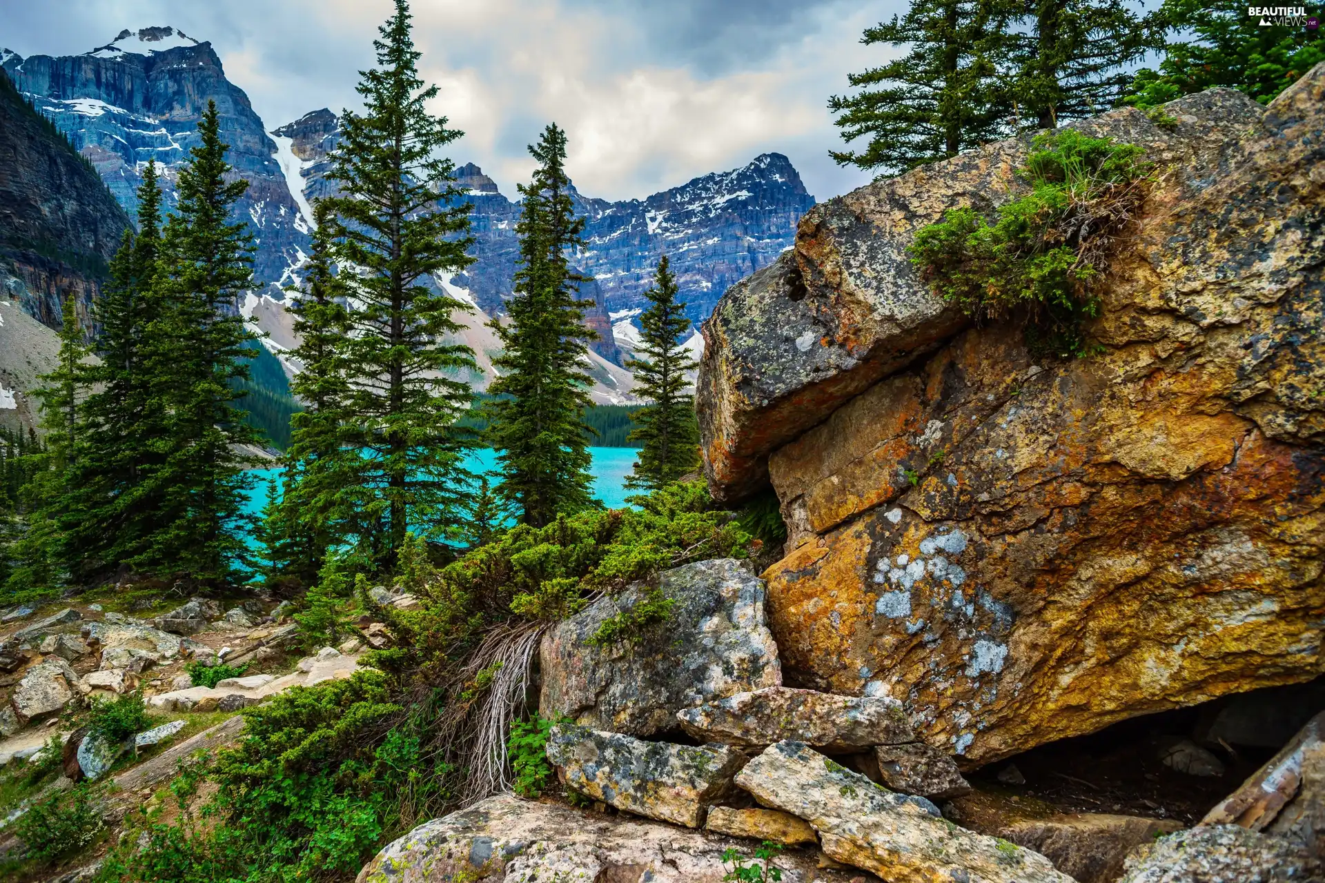 forest, Mountains, National Park Banf, Canada, lake, rocks