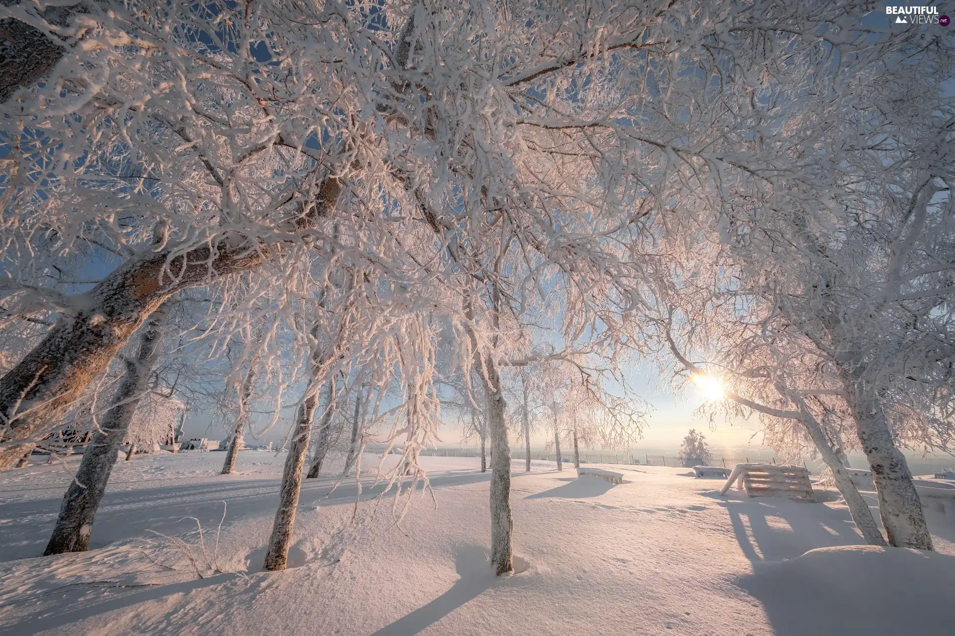 trees, winter, sun, Park, viewes, Snowy