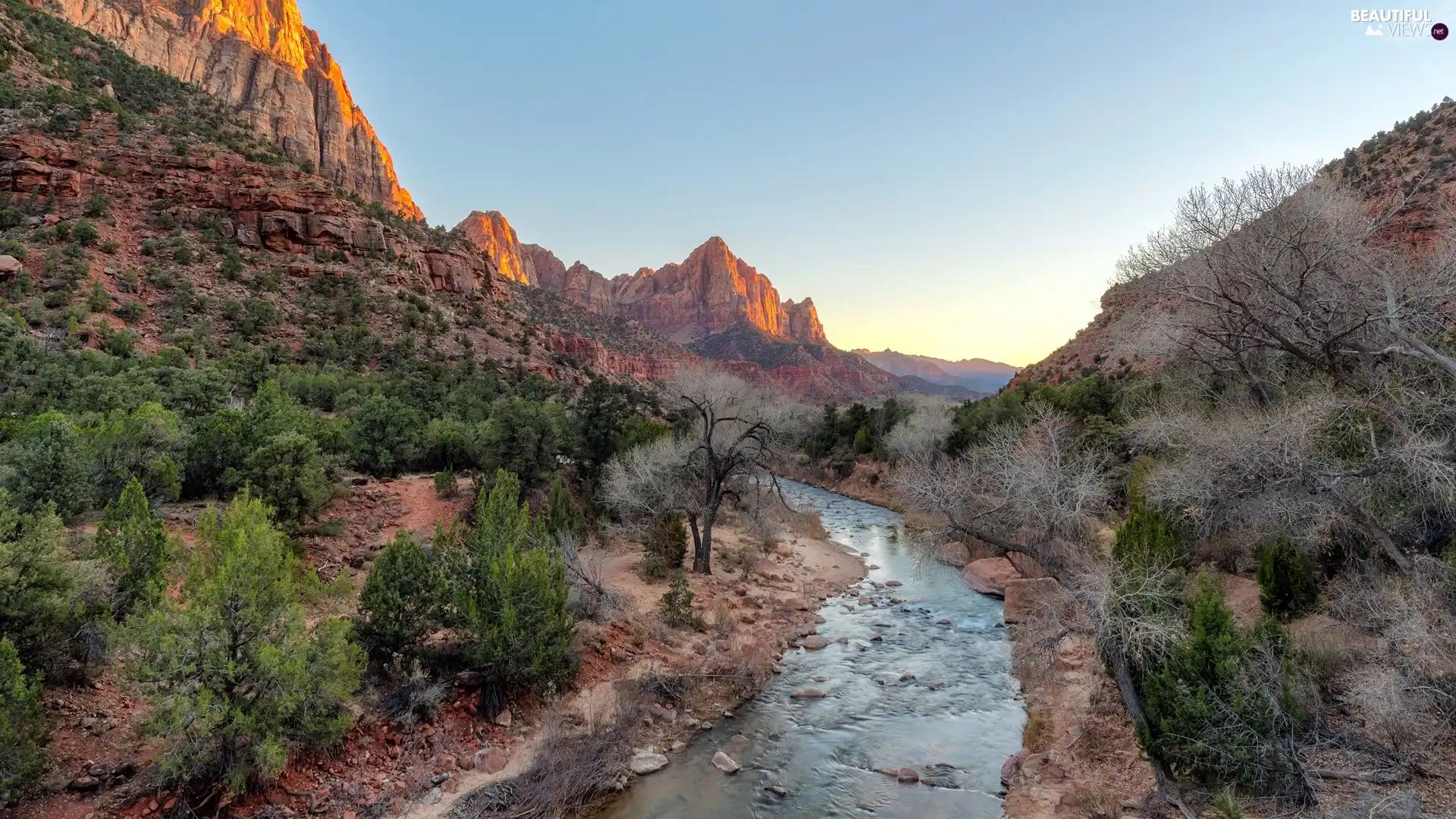 viewes, Watchman Mountains, Utah State, trees, Zion National Park, Virgin River, The United States